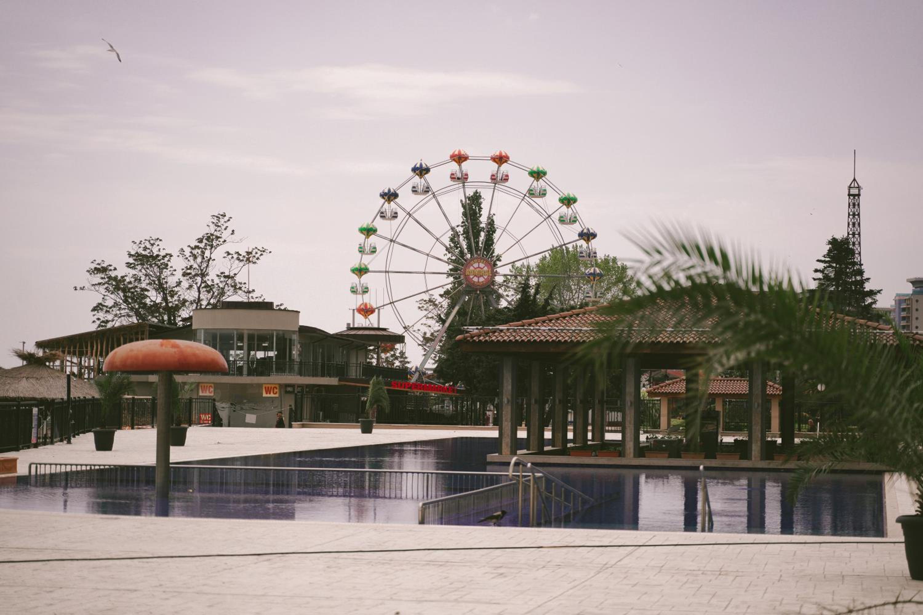 Golden Sands - Two Bedroom apartment on the beach