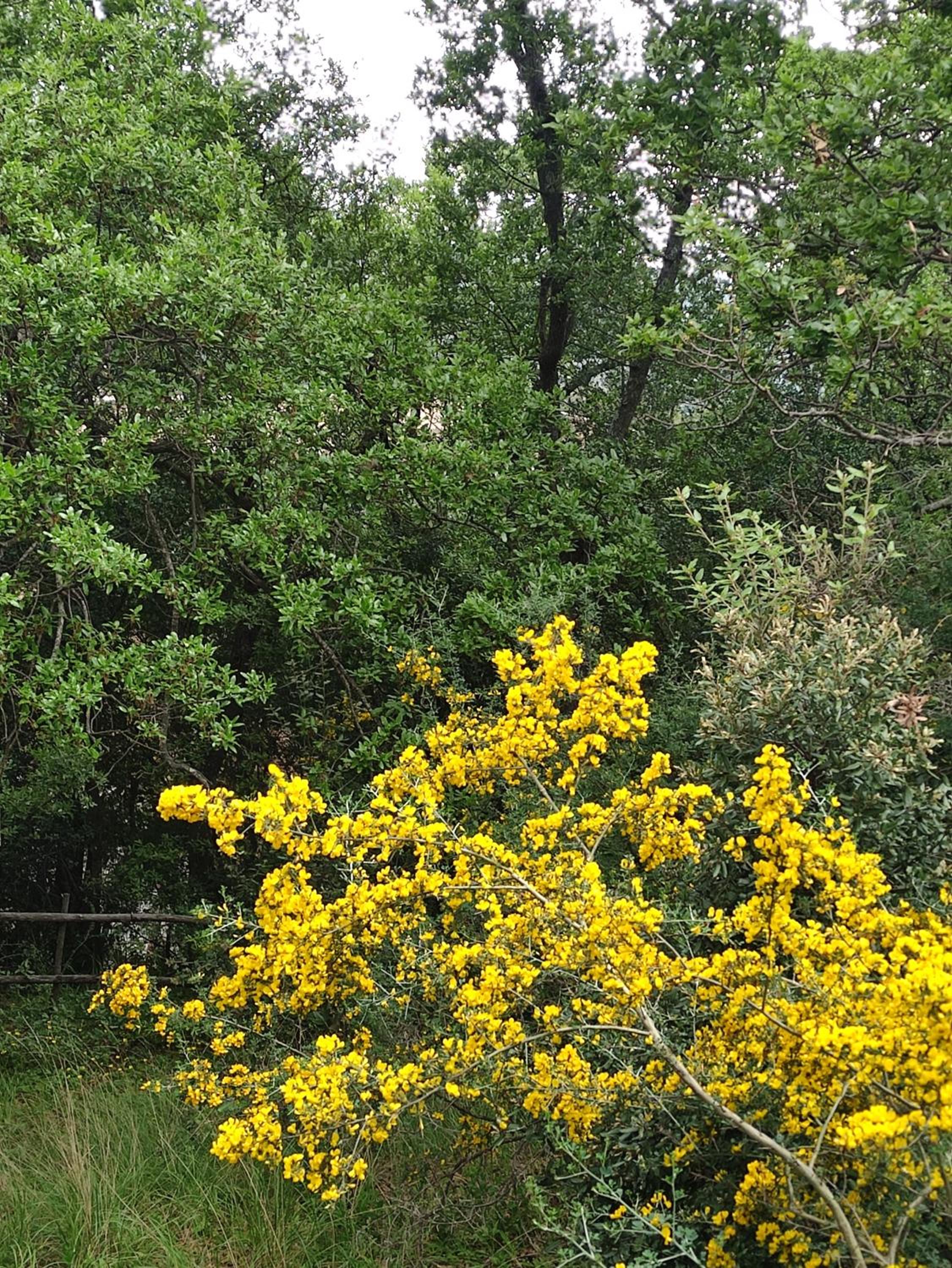 Photo 45