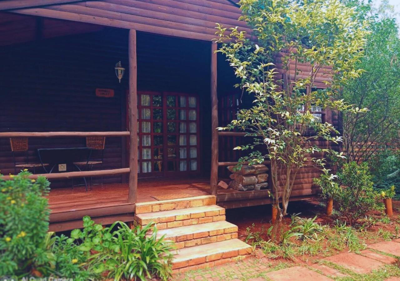Woodland Gardens Self catering Pet Friendly Lodge