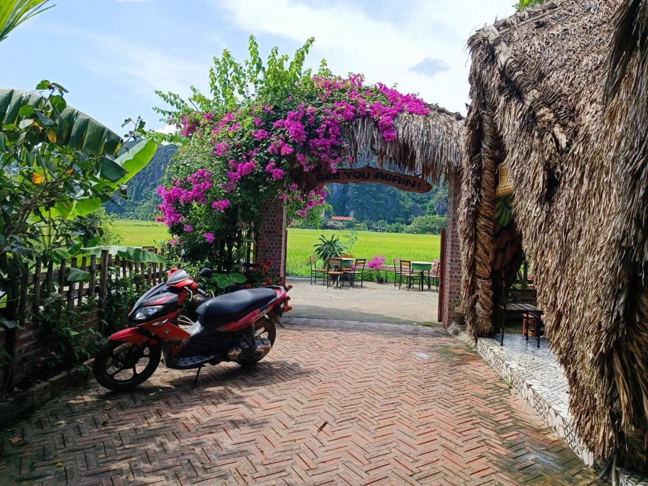 Photo 20