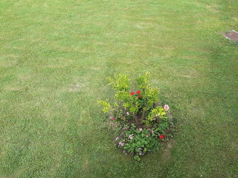 Photo 39