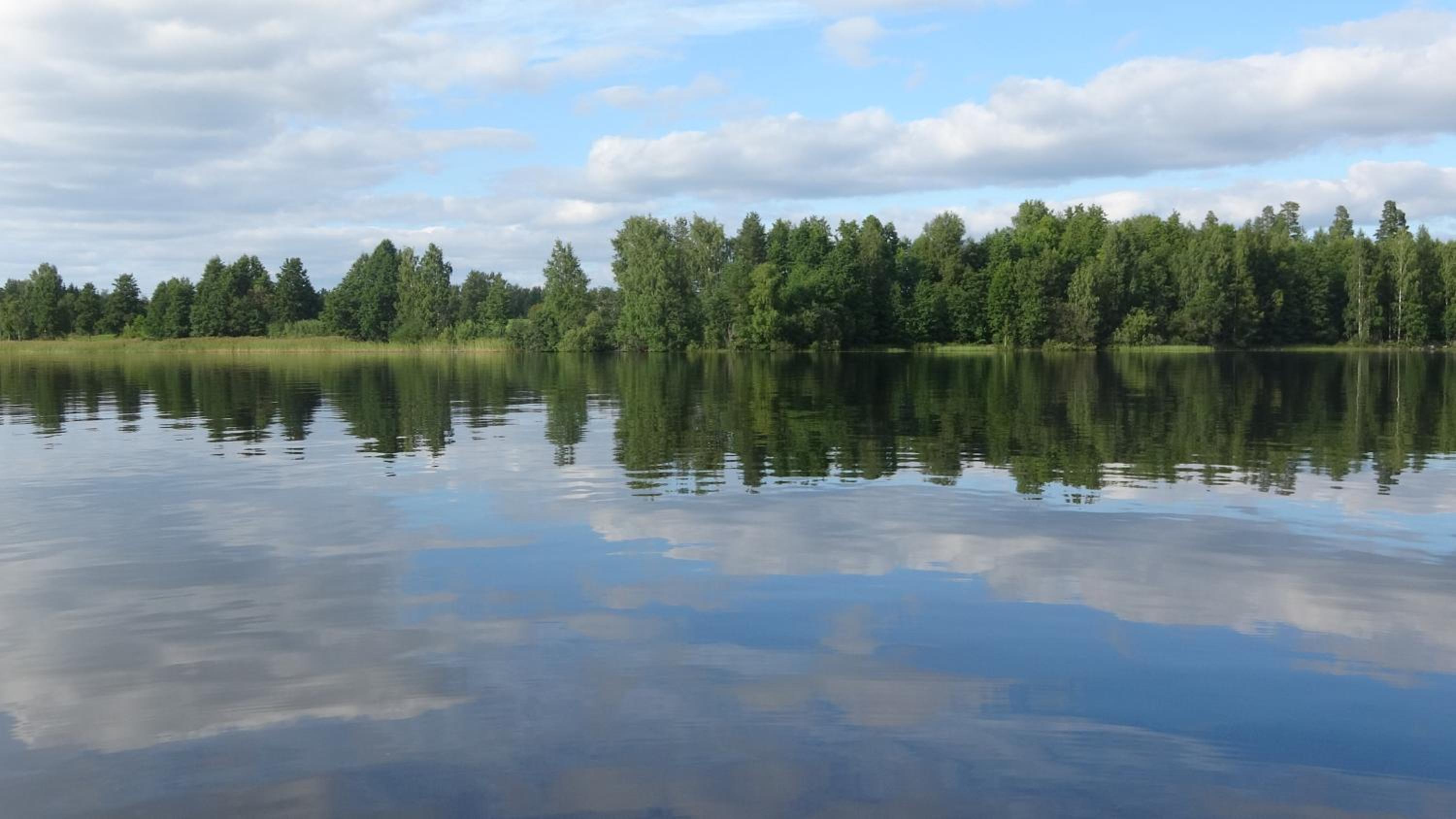 Koivurannan lomamökit Pihlaja