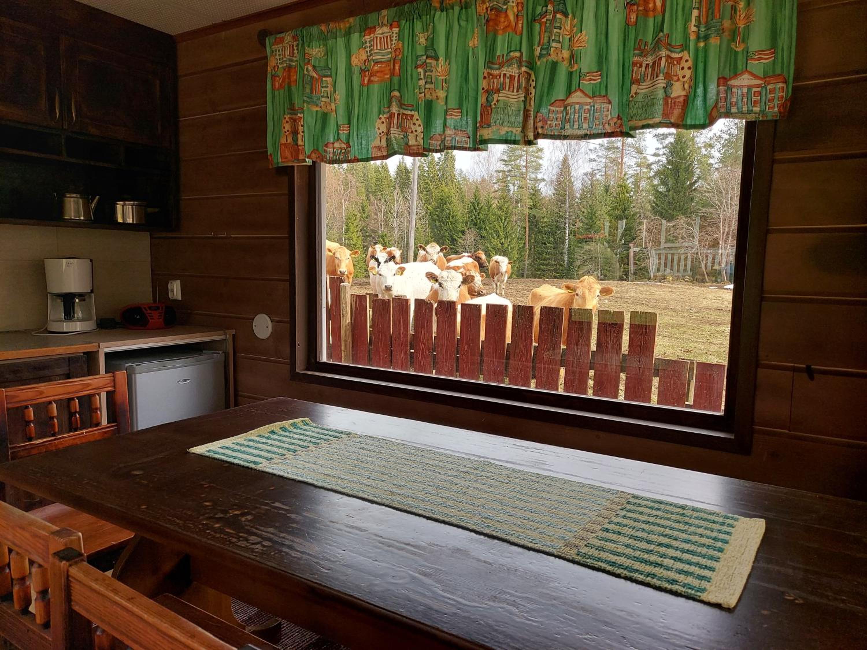 Koivurannan lomamökit Pihlaja