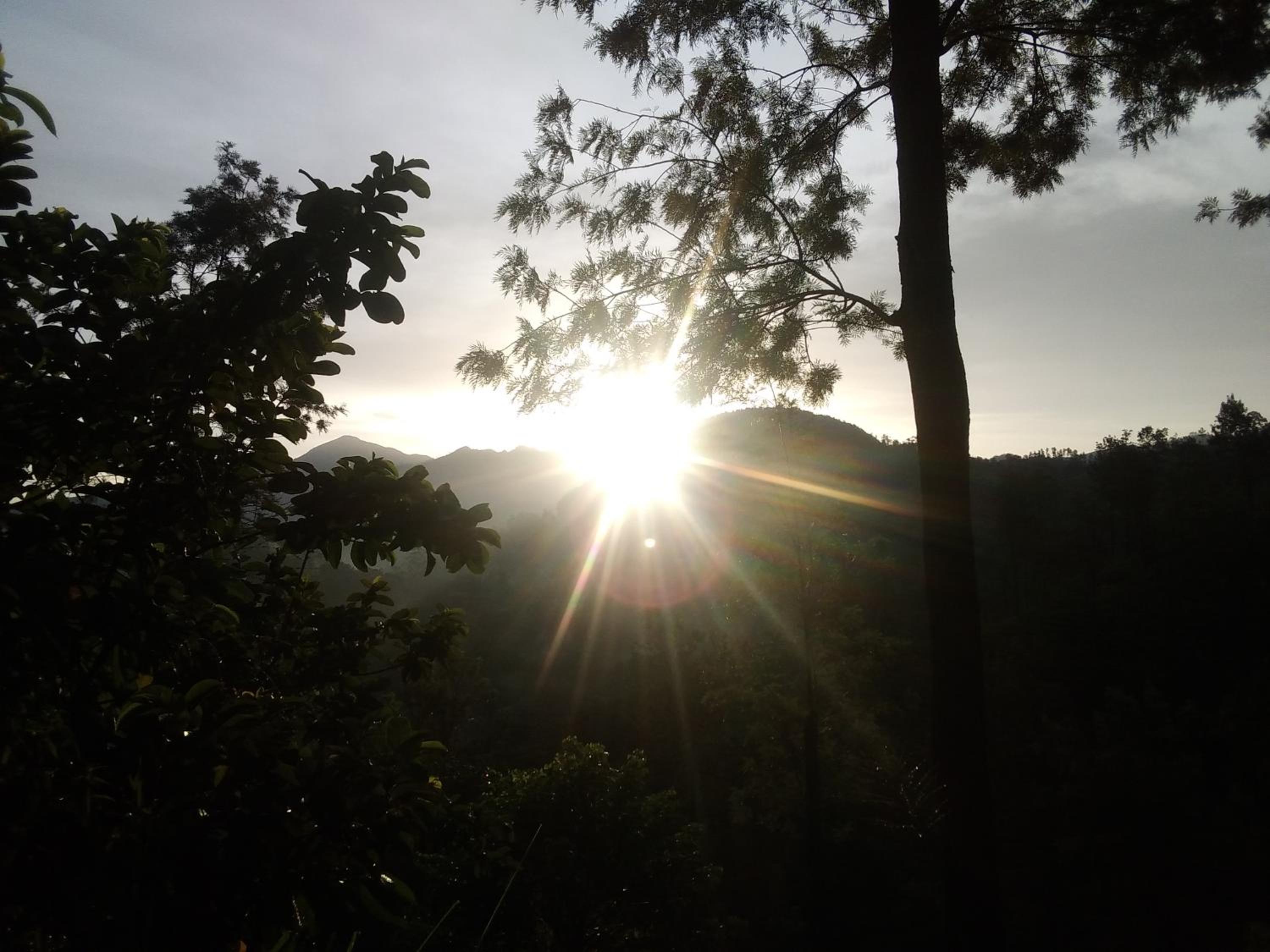 Ella Jayamali Homestay