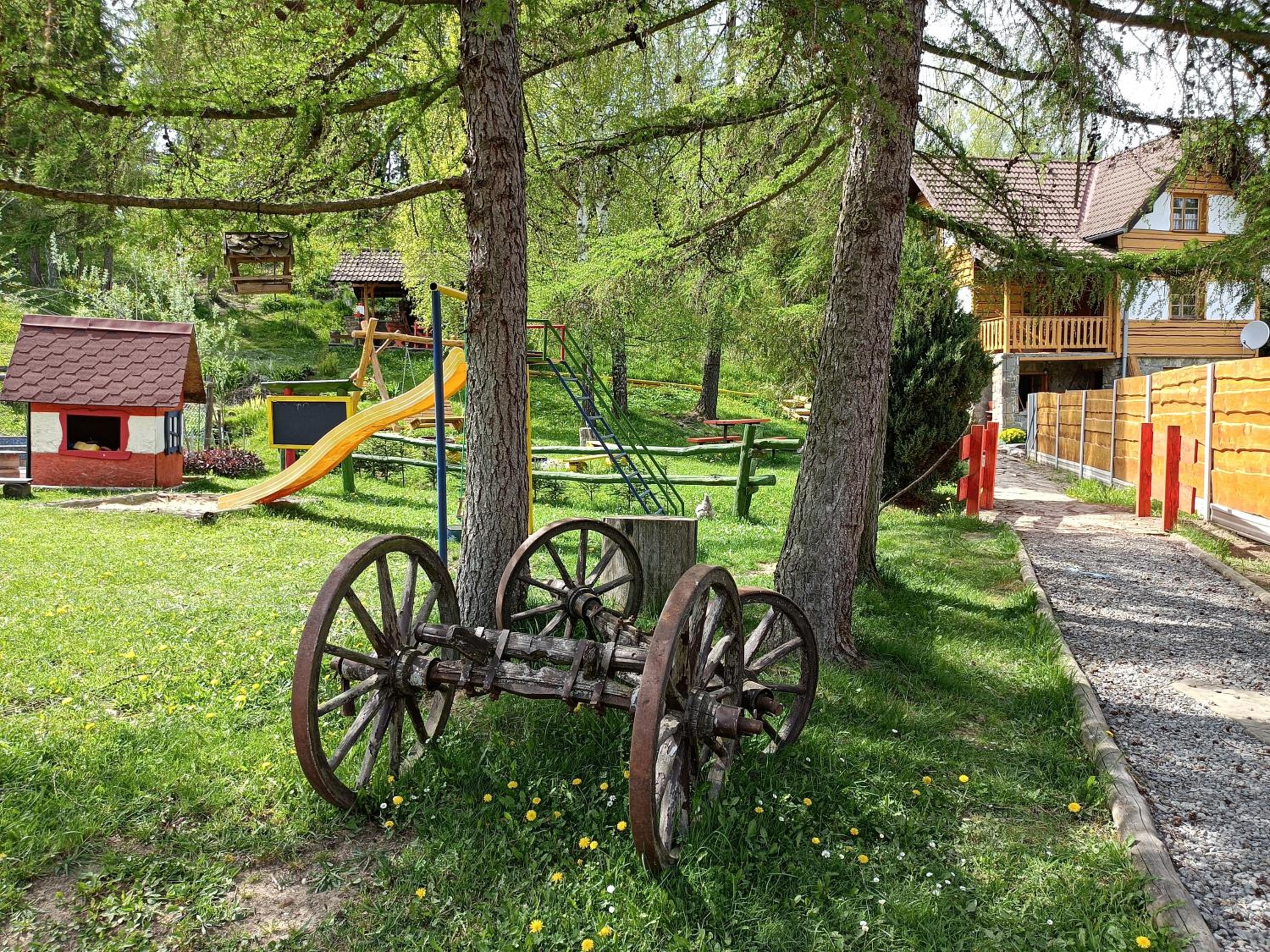 activities & amenities