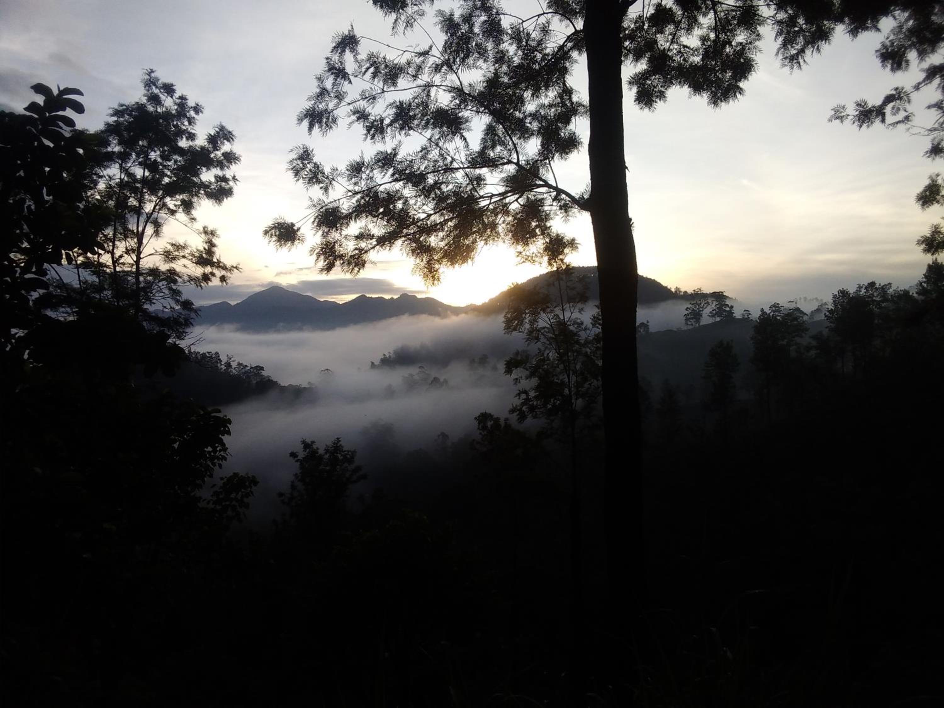 Ella Jayamali Homestay