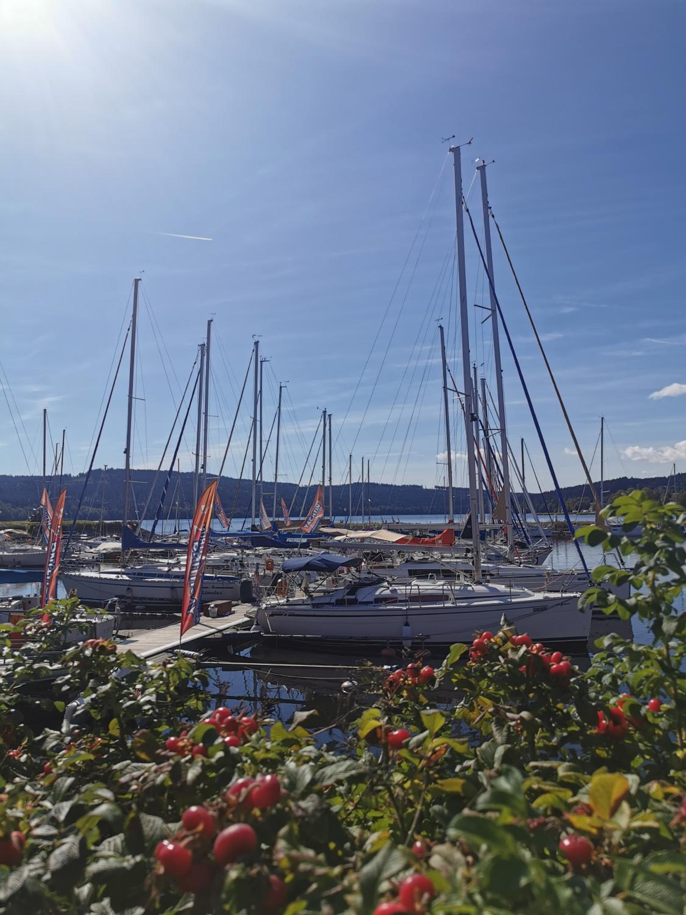 Apartmán s terasou a výhledem na jezero Lipno