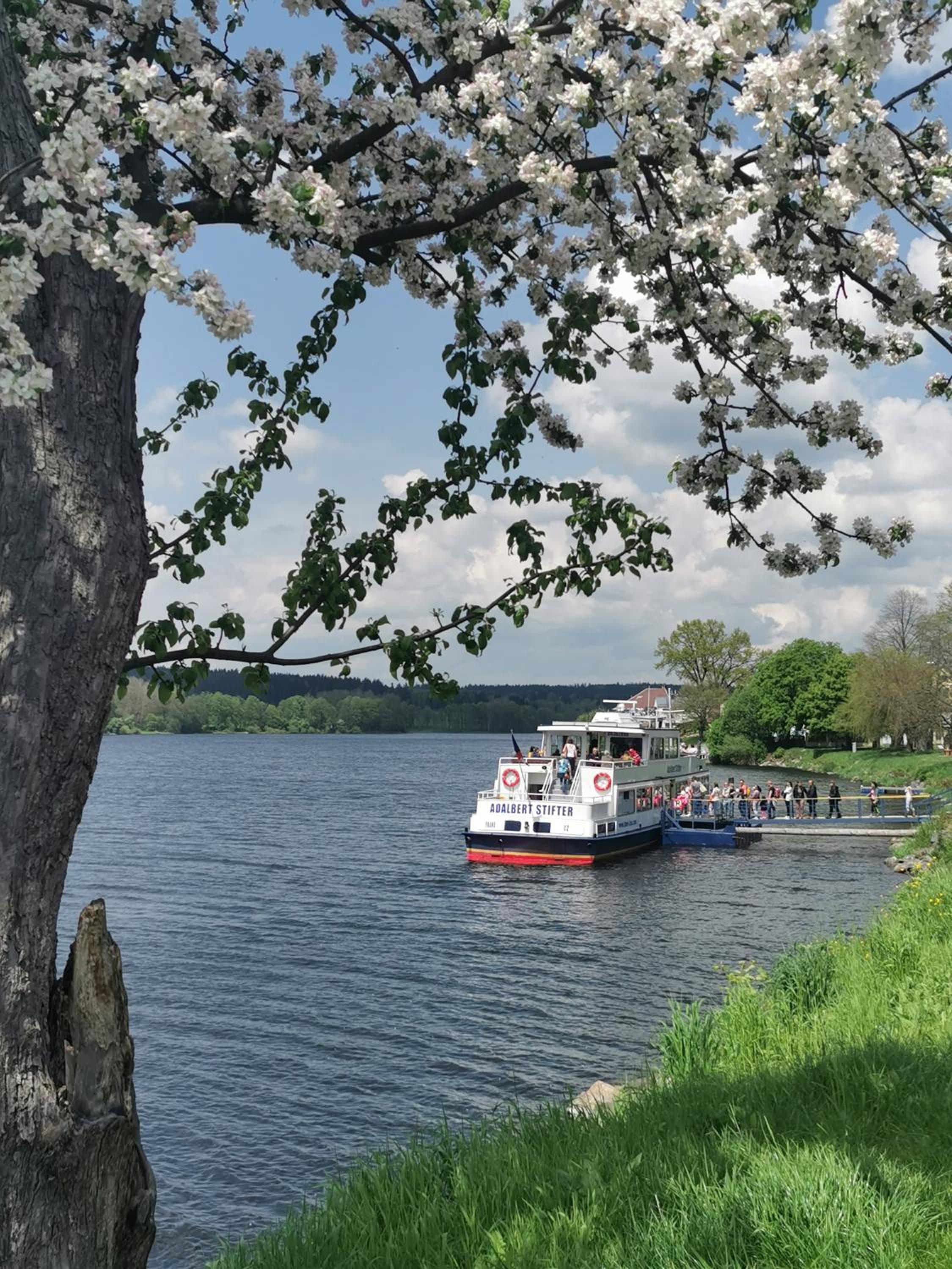 Apartmán s terasou a výhledem na jezero Lipno