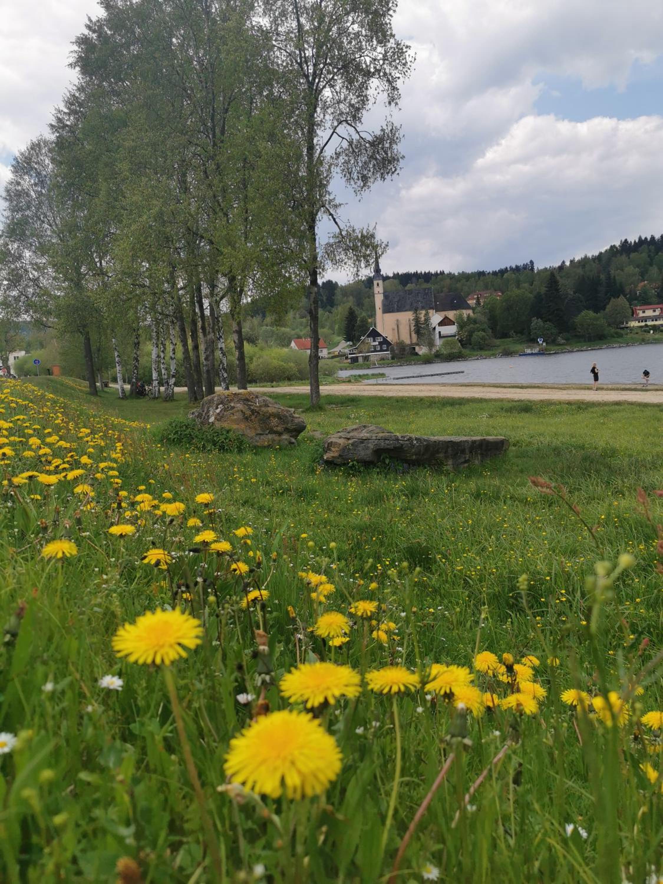 Apartmán s terasou a výhledem na jezero Lipno