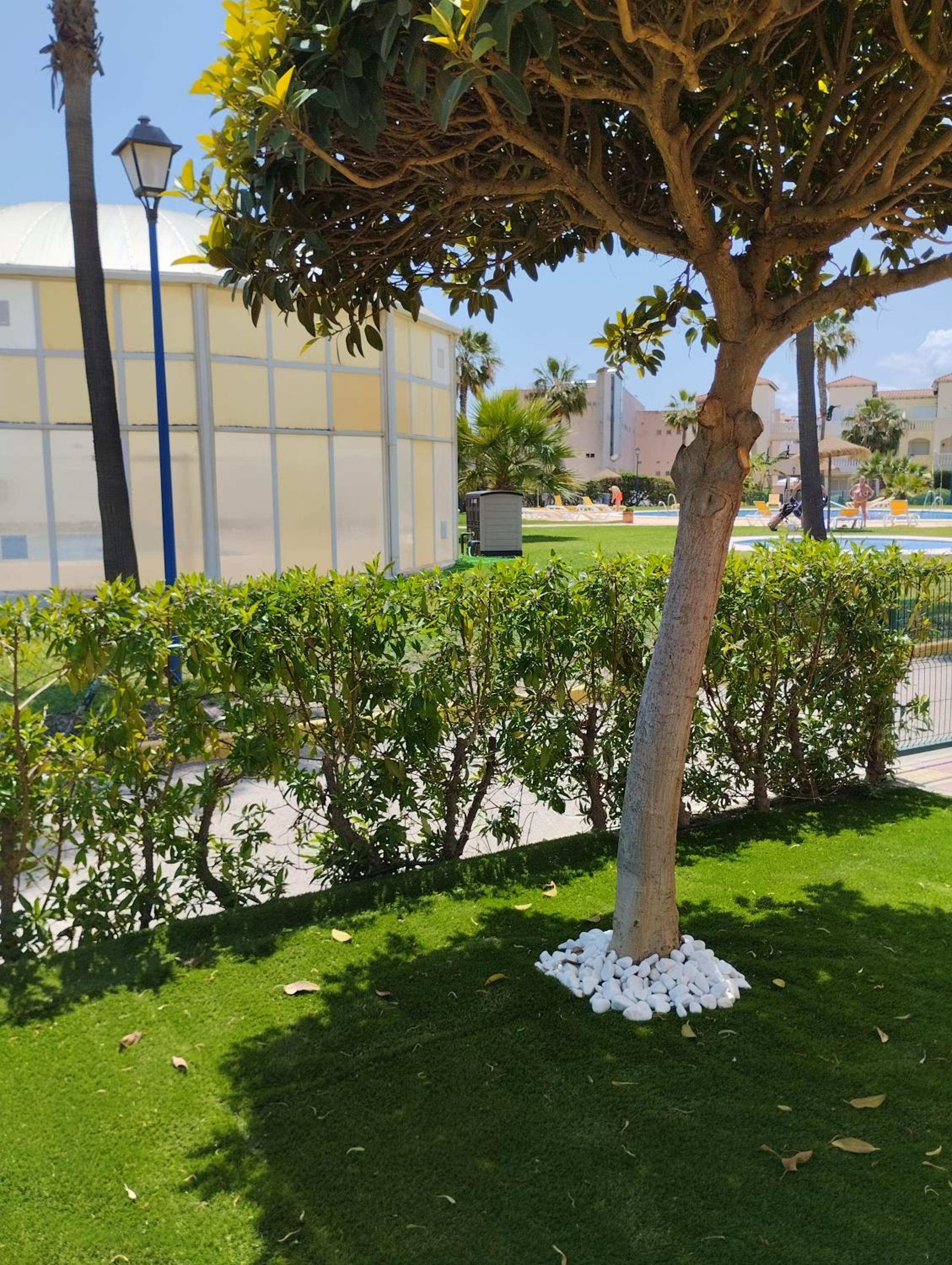 Photo 38