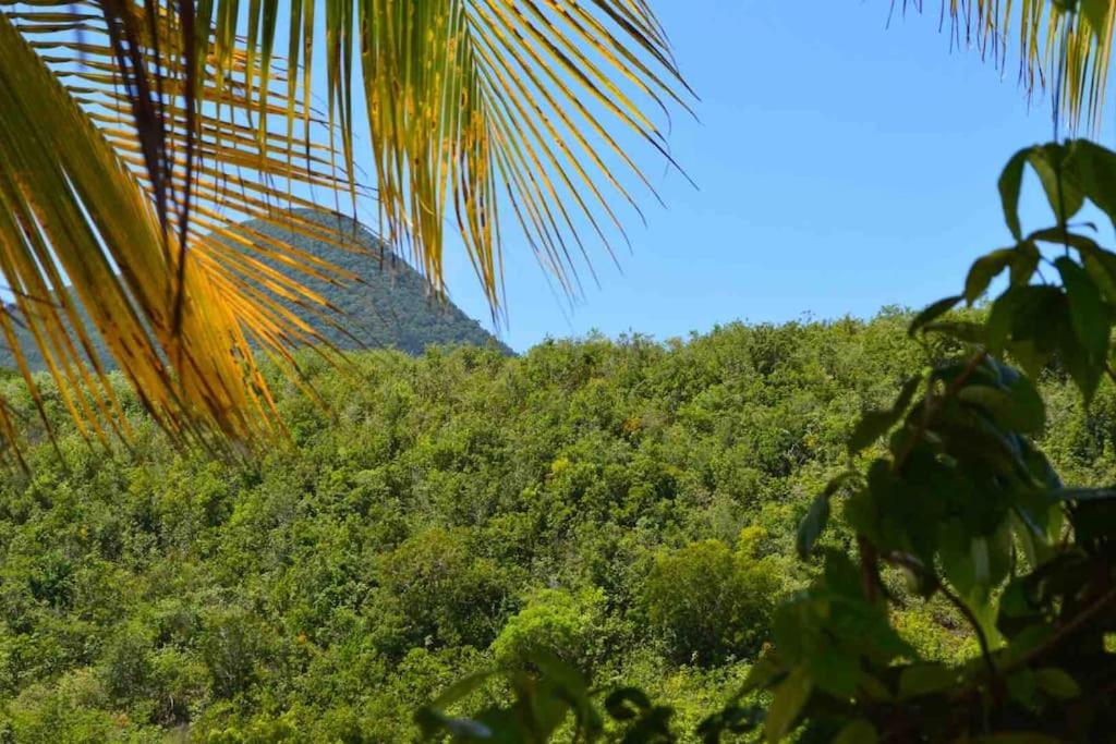 La villa Coconut vue à 180° mer rocher du Diamant
