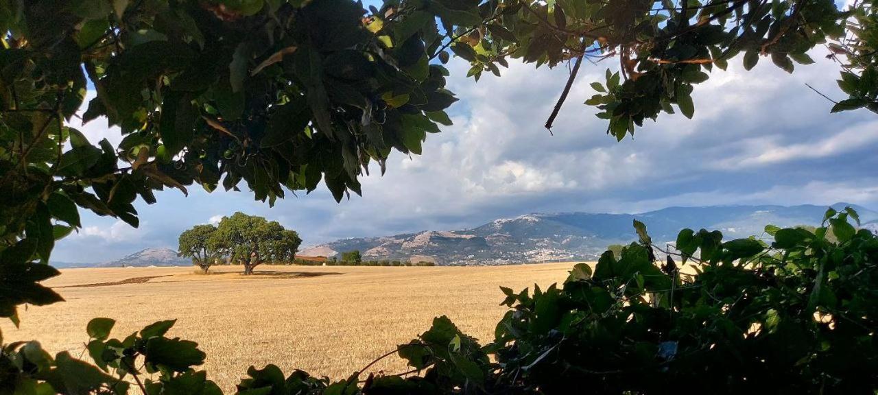 L'oasi della Pace view 5