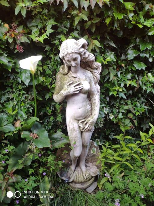 Photo 46