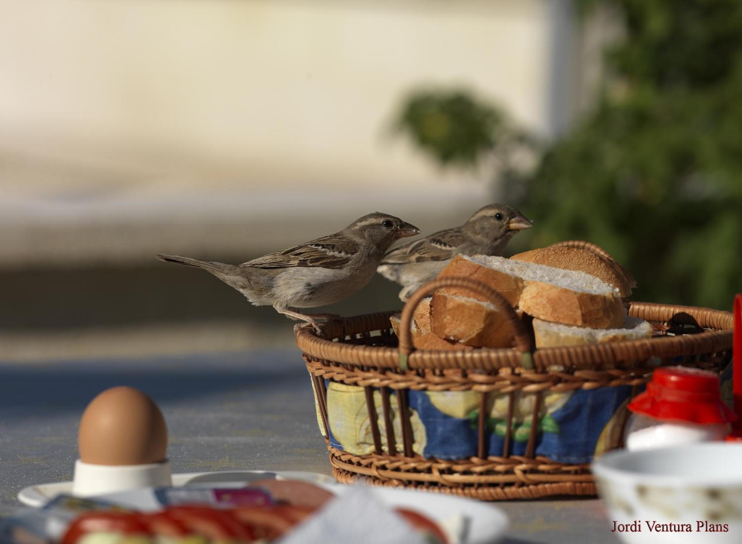 Arif Cave Hotel - Image 53