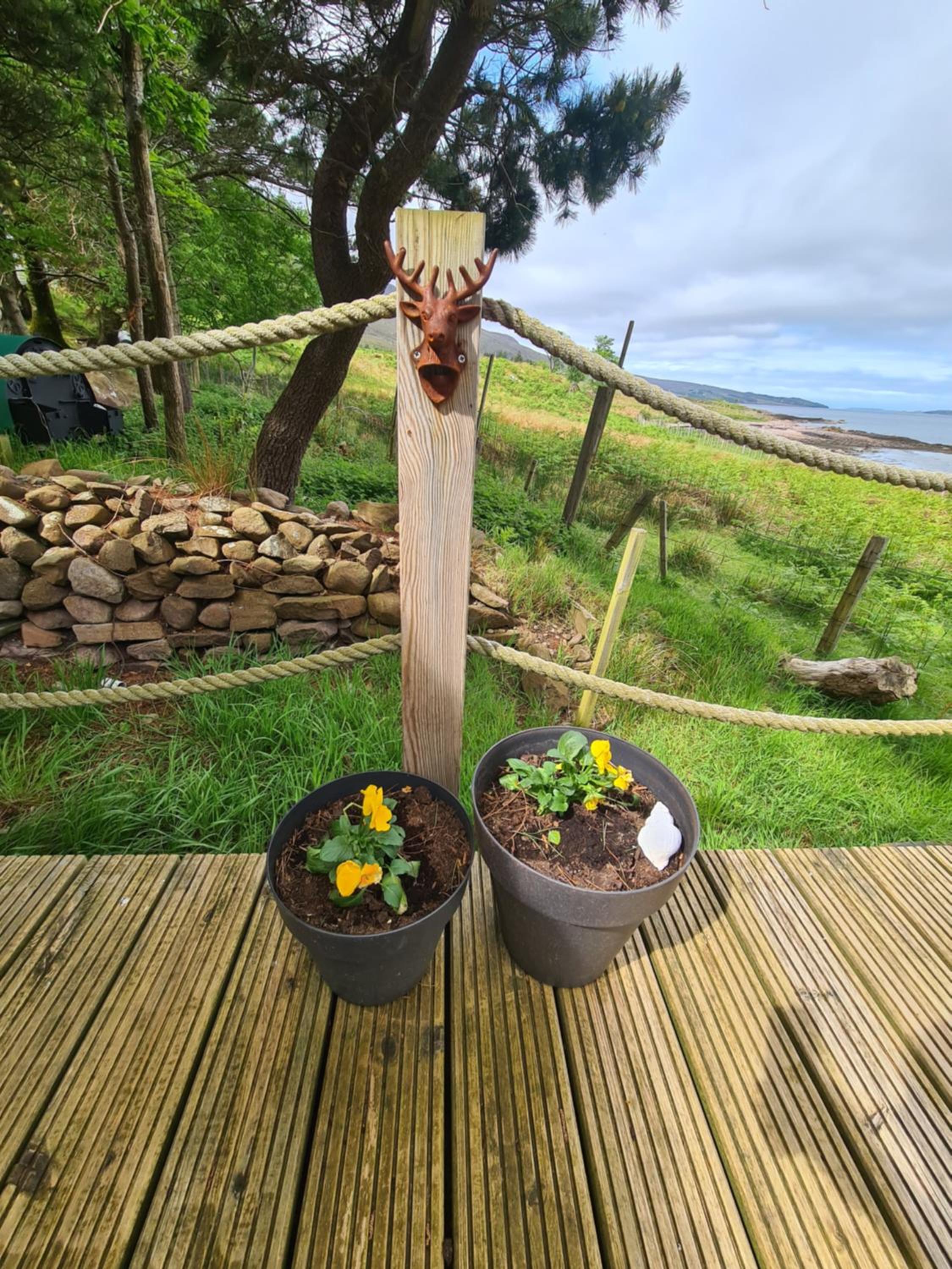The bay ,luxury shepherds hut, view 4