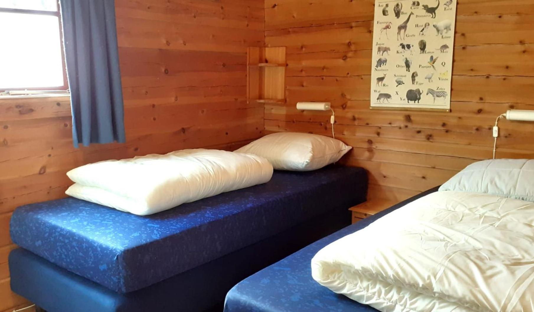 Lupine Lodge view 5