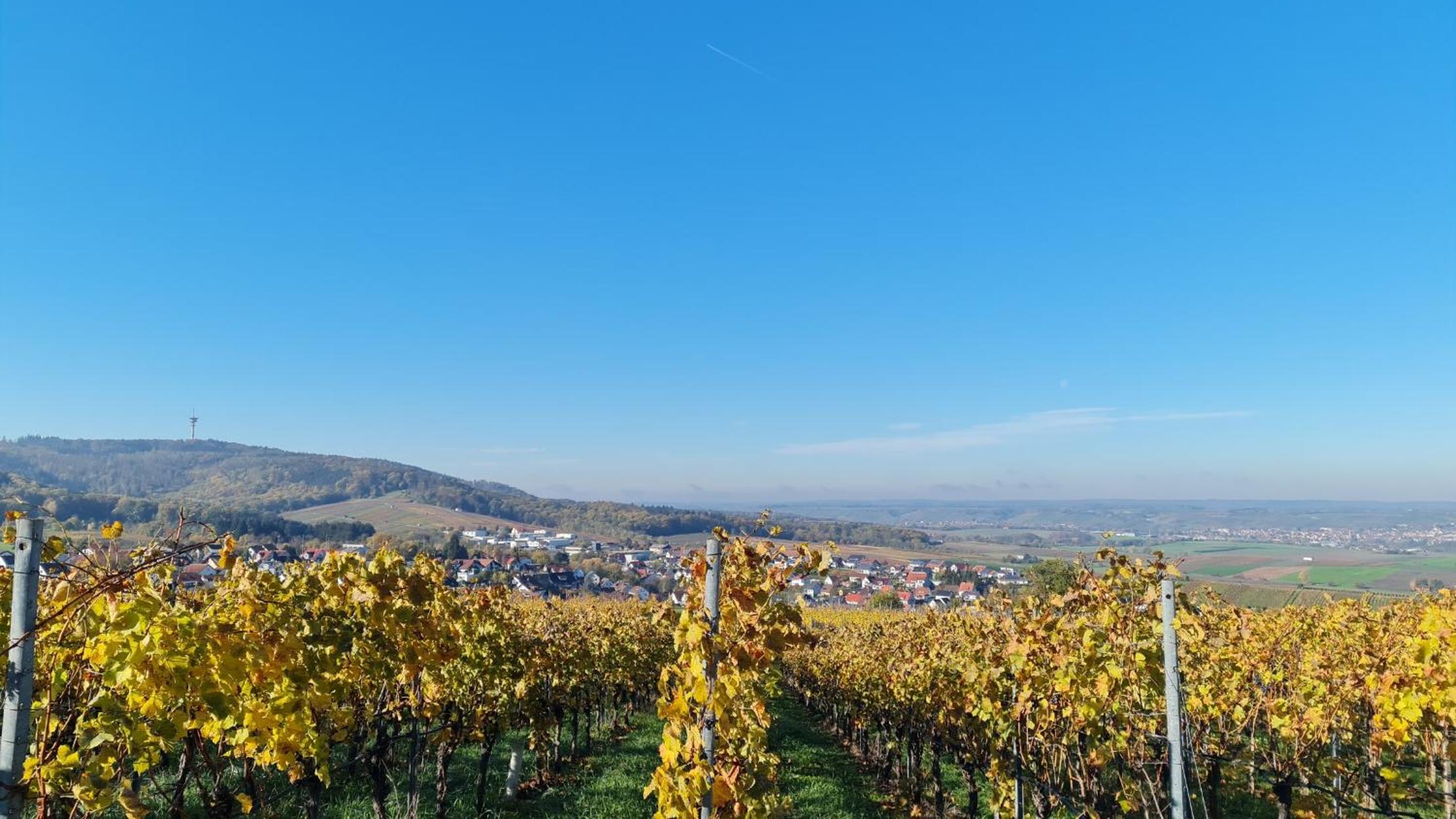 Villa unter dem Schloss