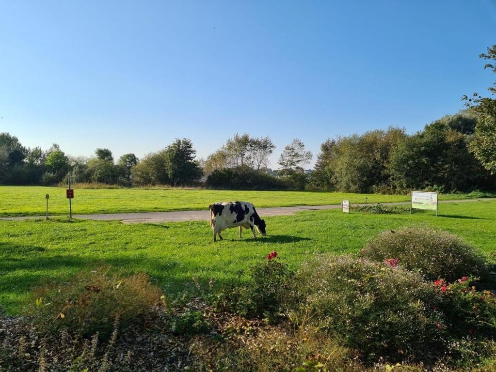 Ferienwohnung Sonnenaufgangsgenuss Harriersand