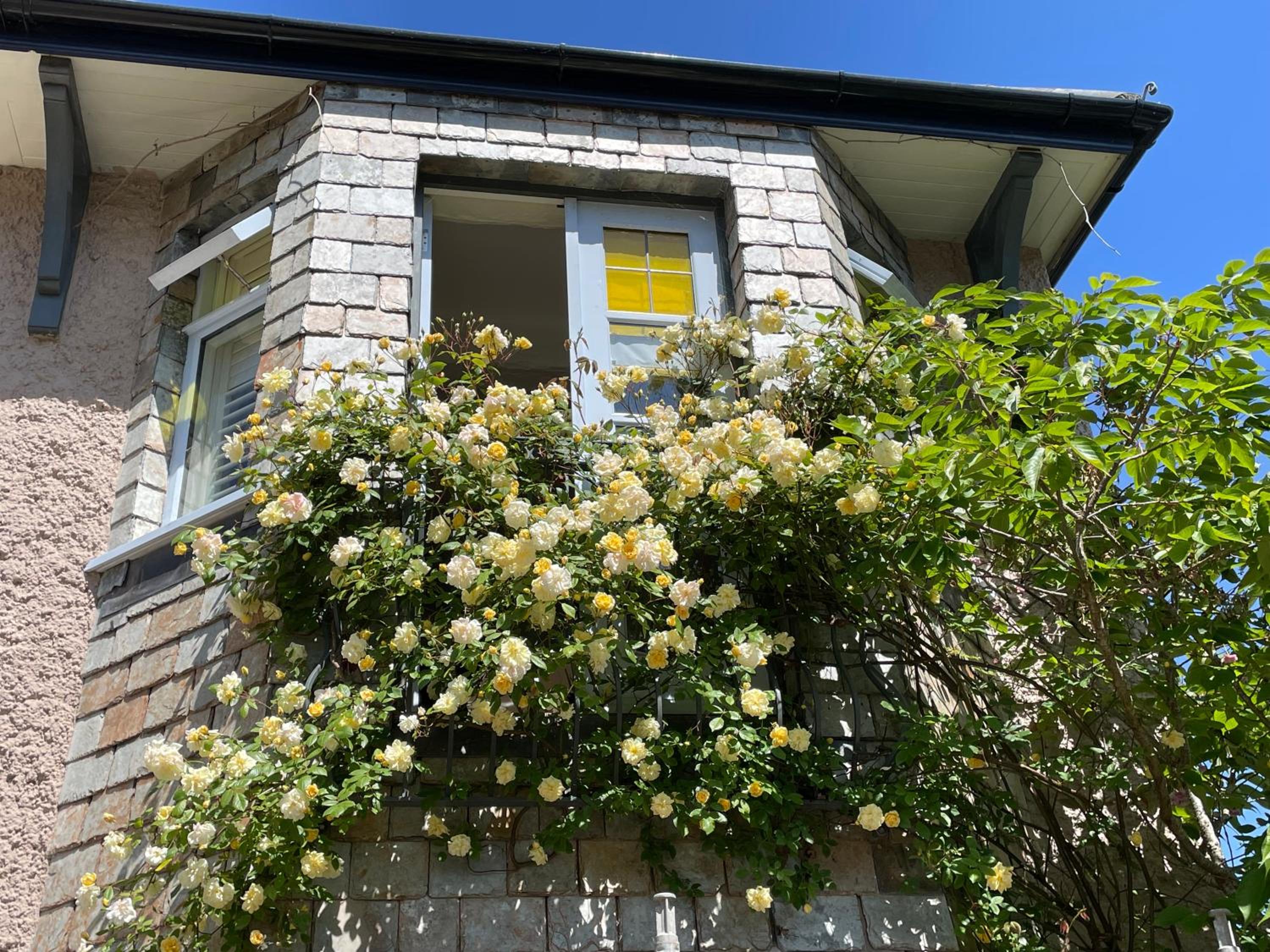 Bradleigh Lodge