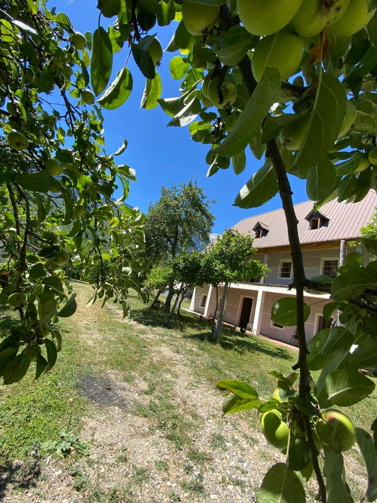 Villa Belinis
