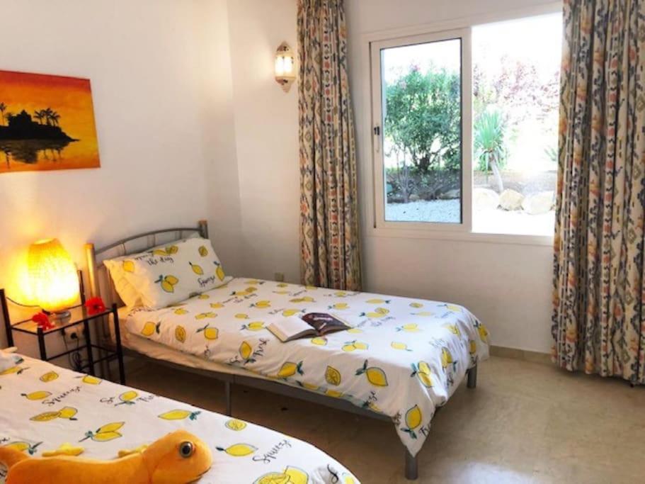 Gorgeous beachfront property with stunning sea views & garden