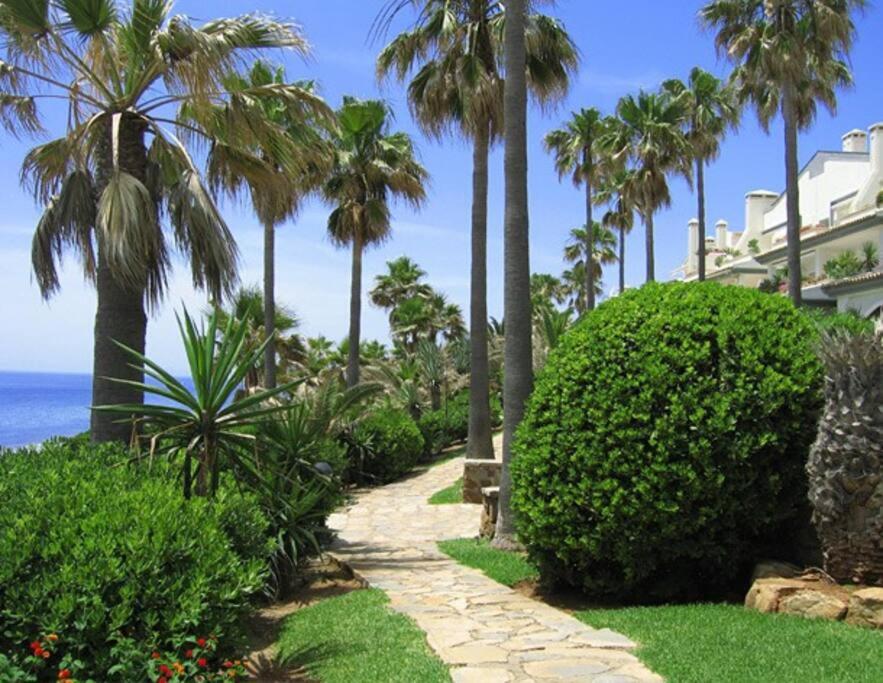 Gorgeous beachfront property with stunning sea views & garden