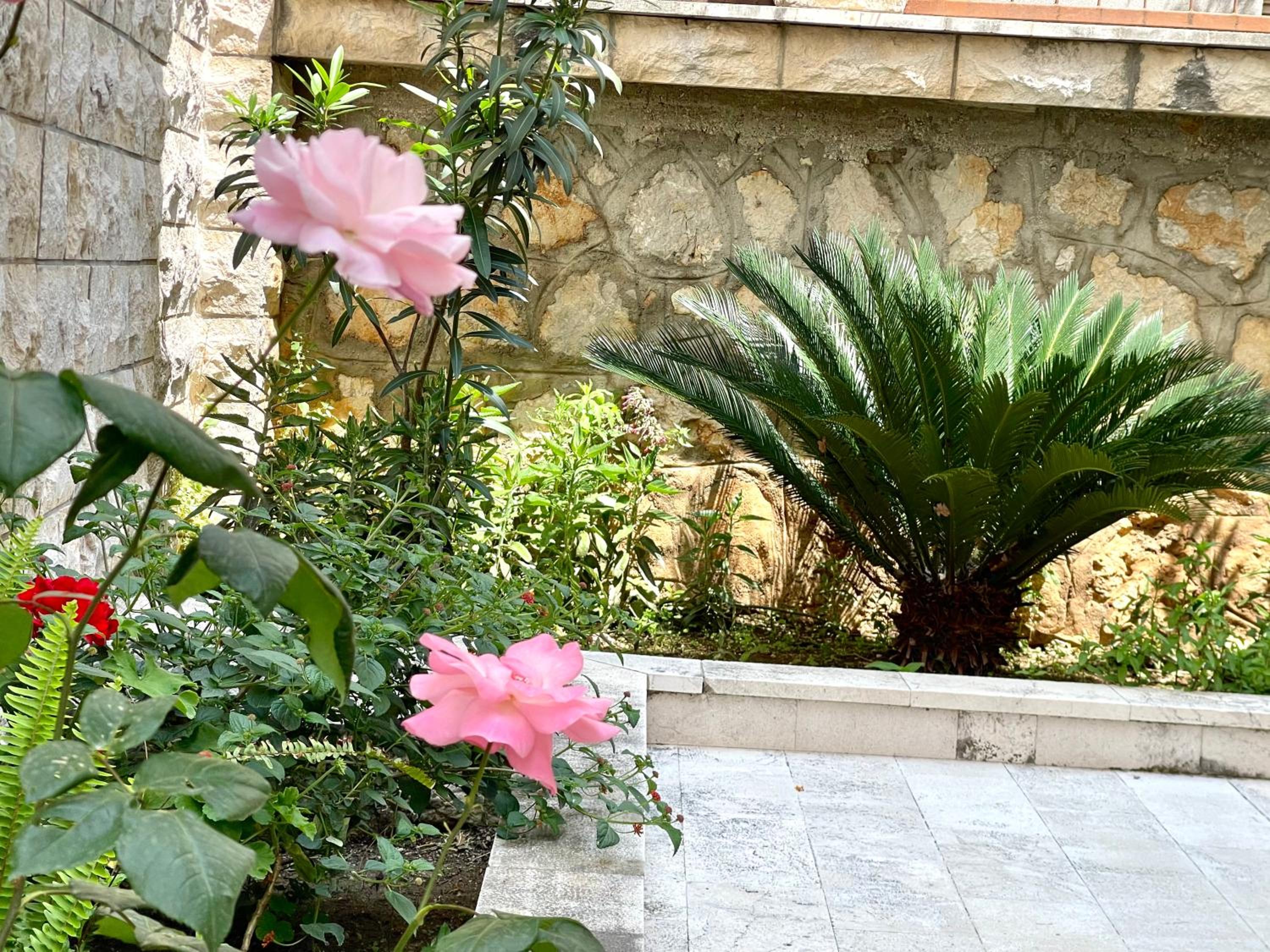Apartments Villa Mirjana view 4