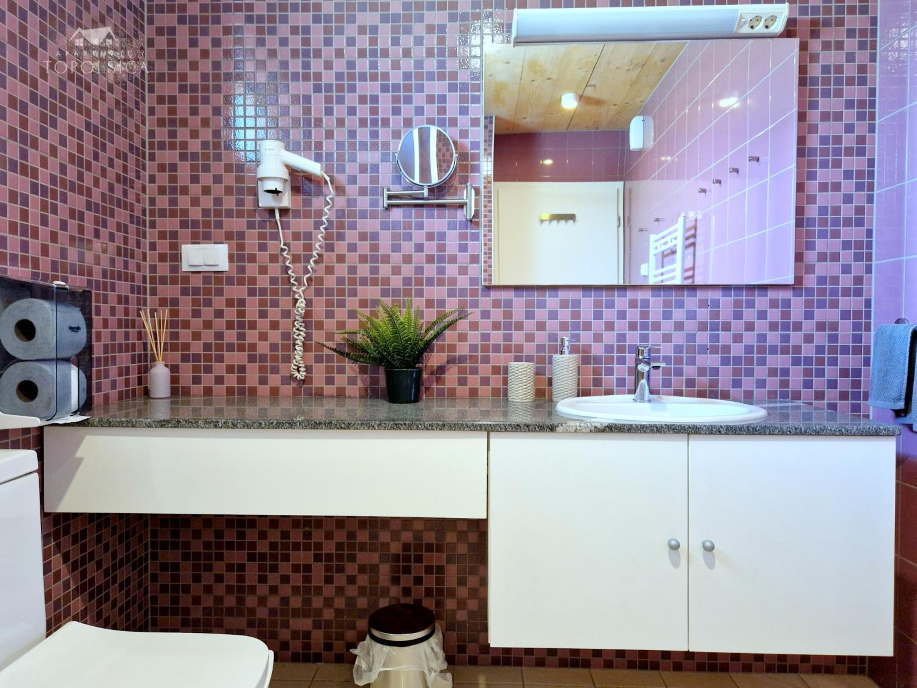 Apartment HORTENZIJA near Terme Topolšica