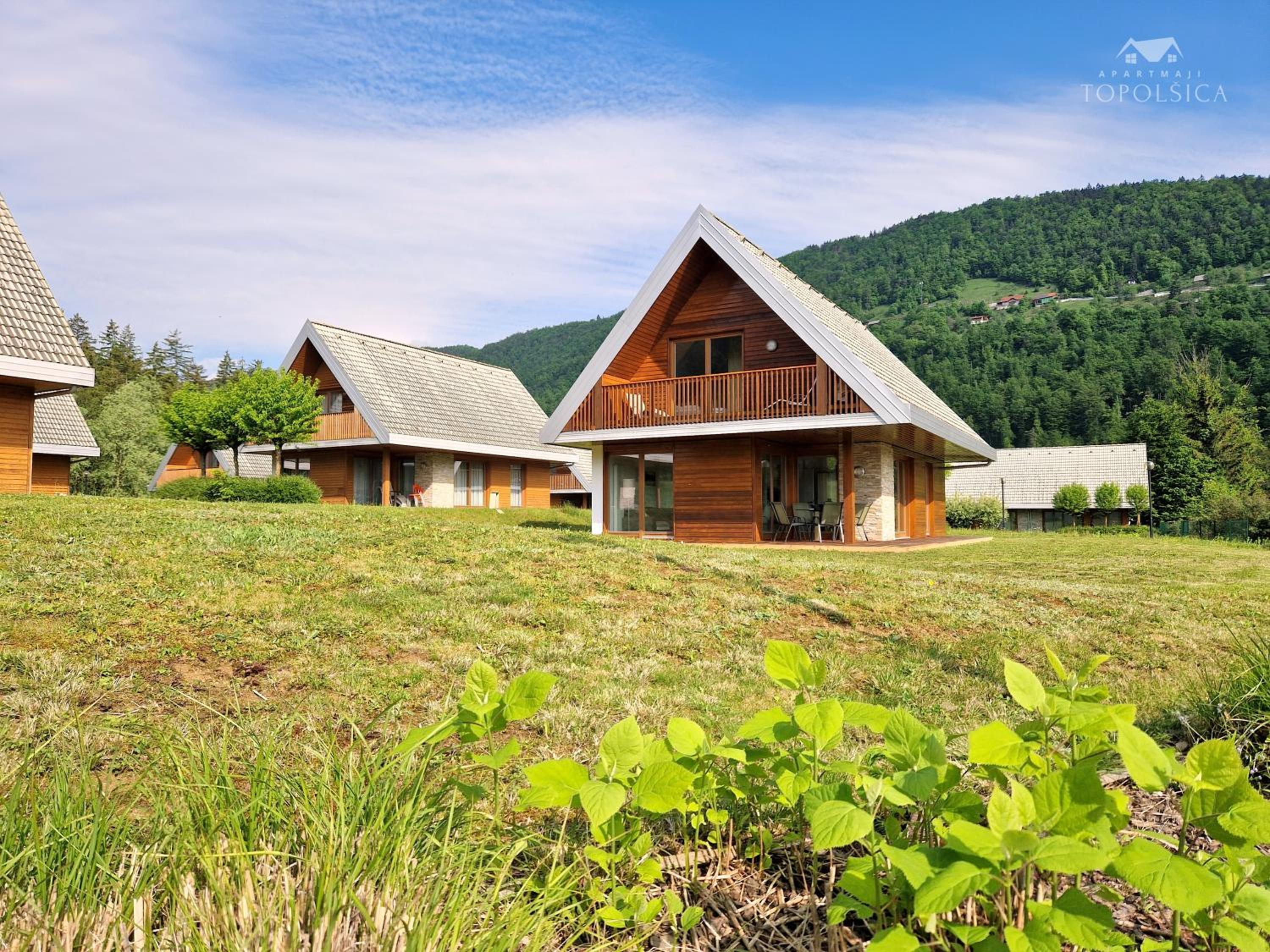 Apartment HORTENZIJA near Terme Topolšica