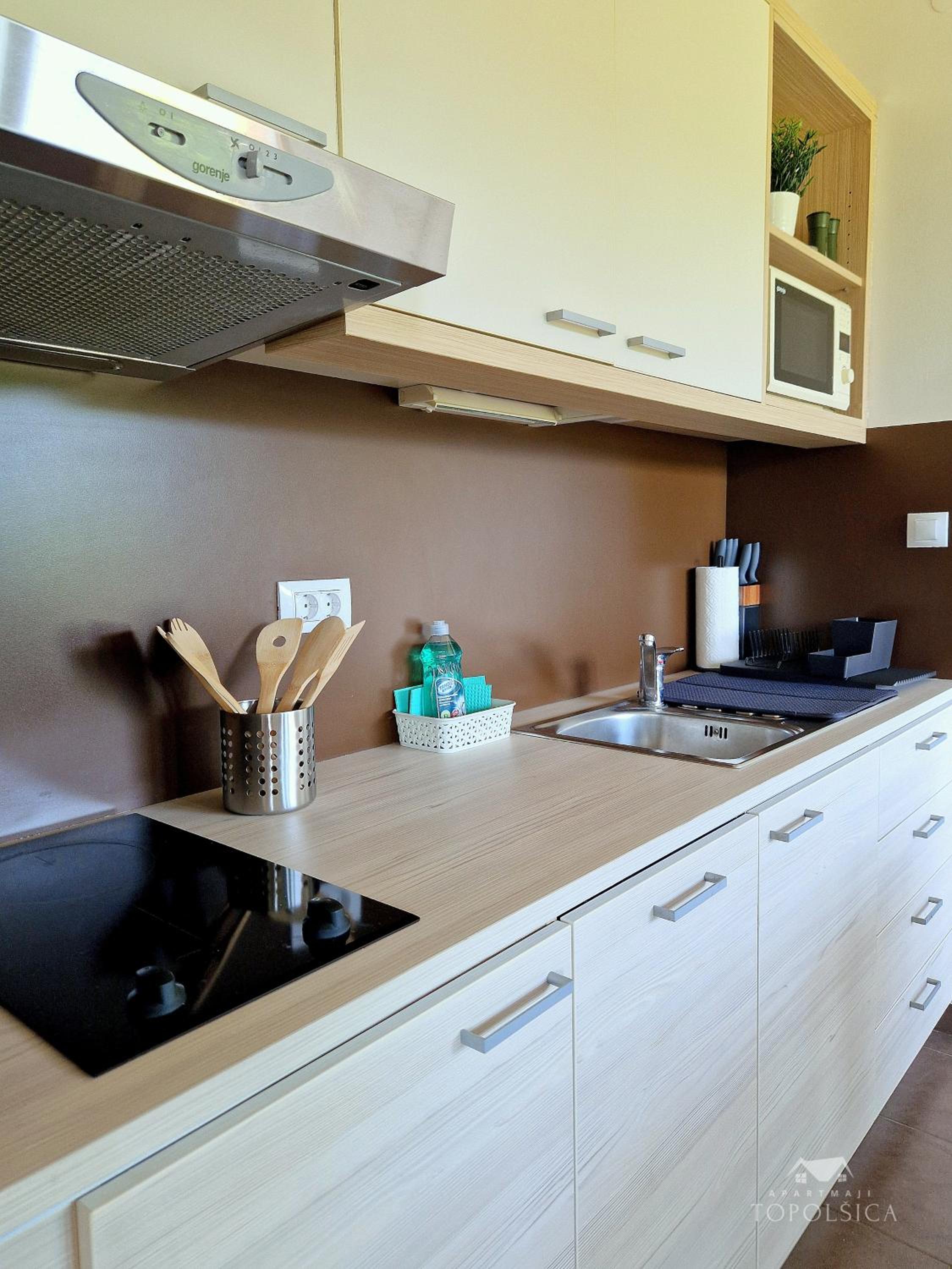 Apartment HORTENZIJA near Terme Topolšica