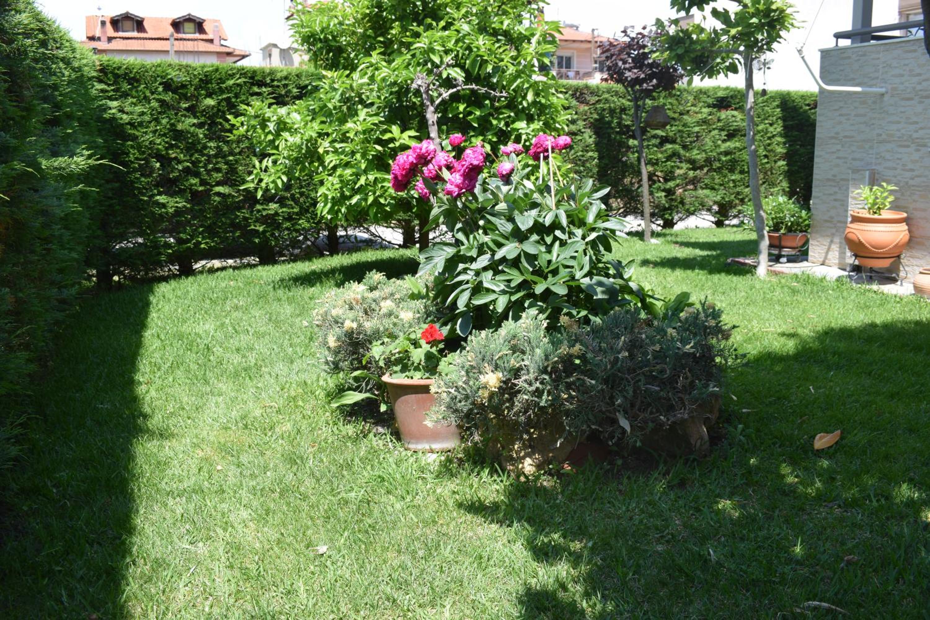 Photo 73