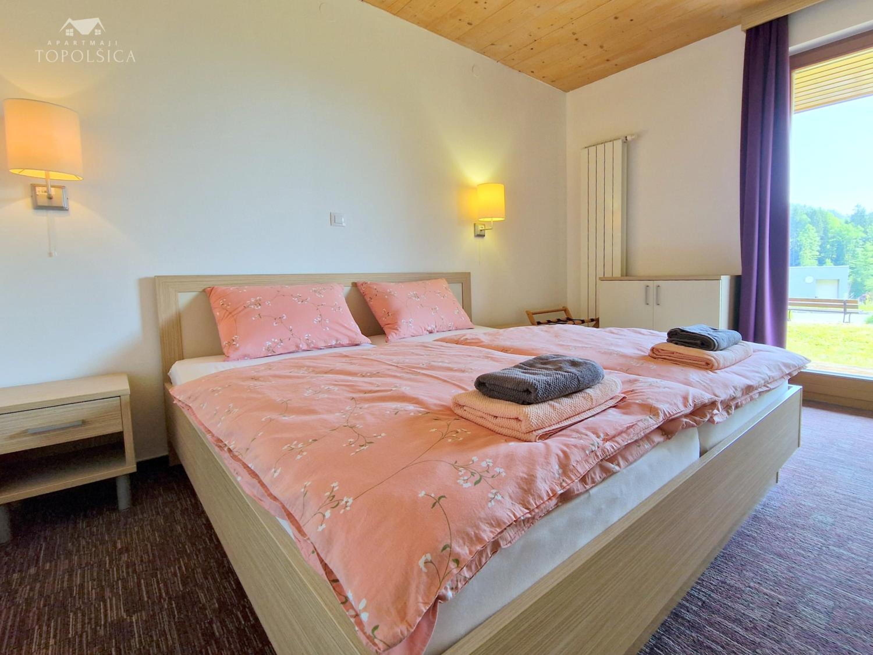 Apartment HORTENZIJA near Terme Topolšica