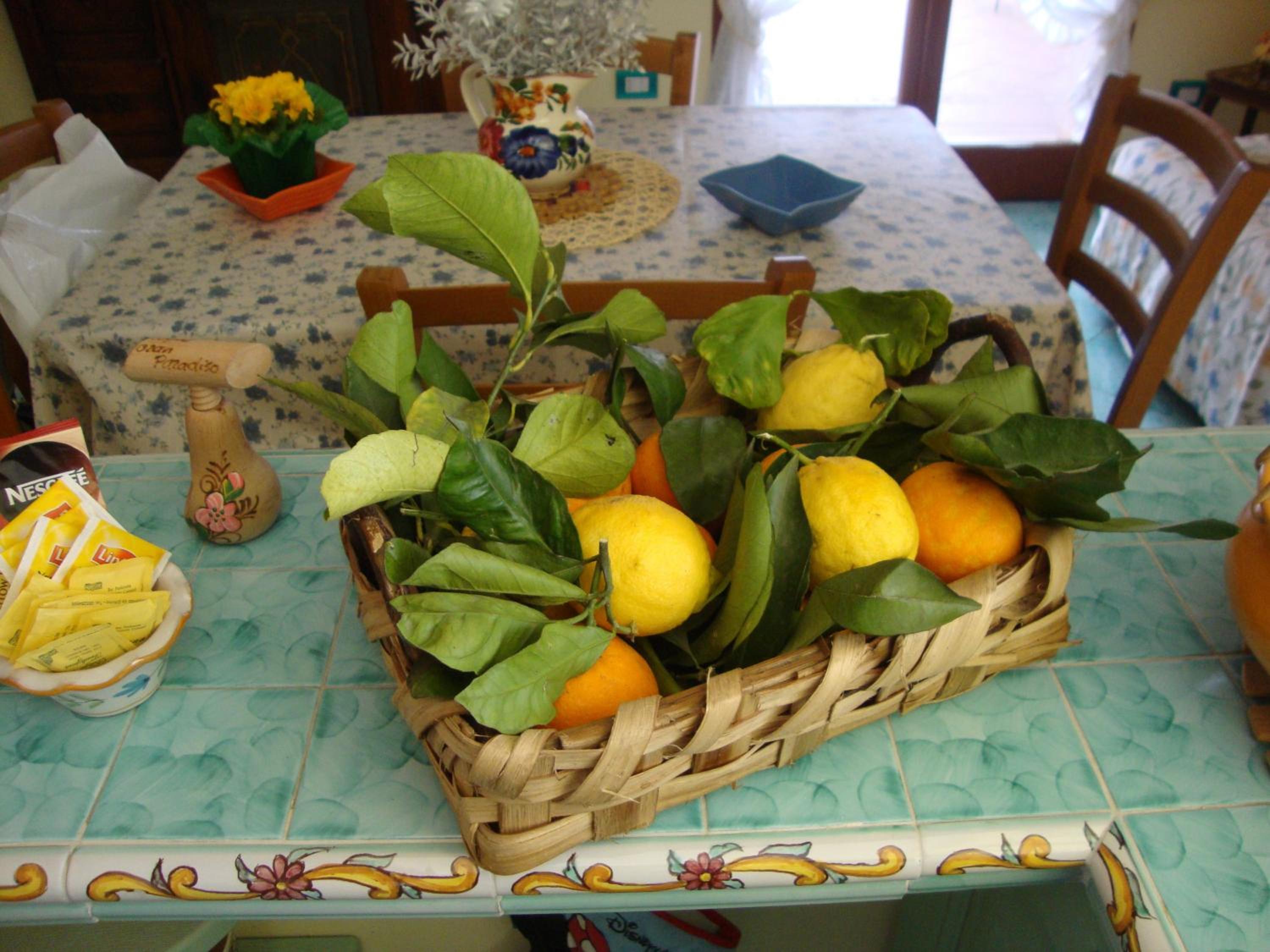 Photo 21