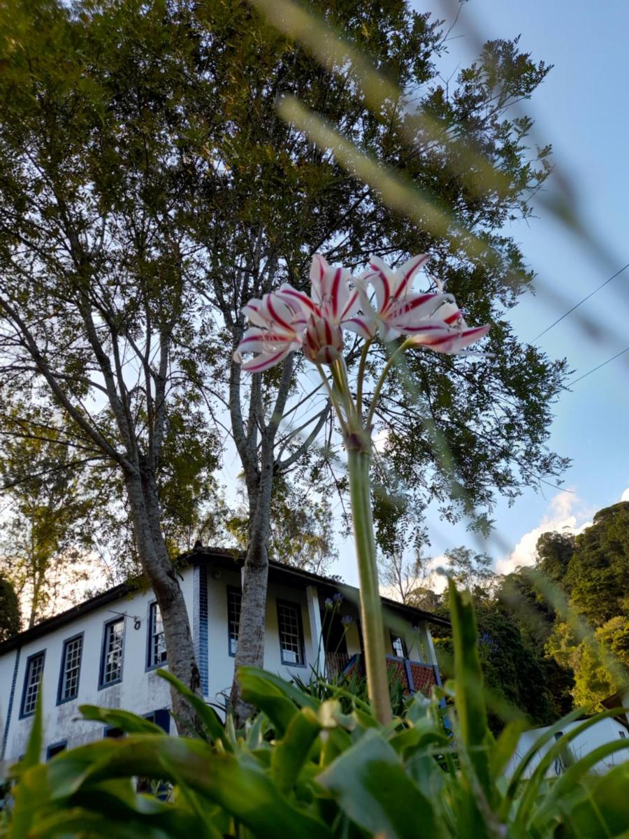 Hotel Fazenda Pedra Grande