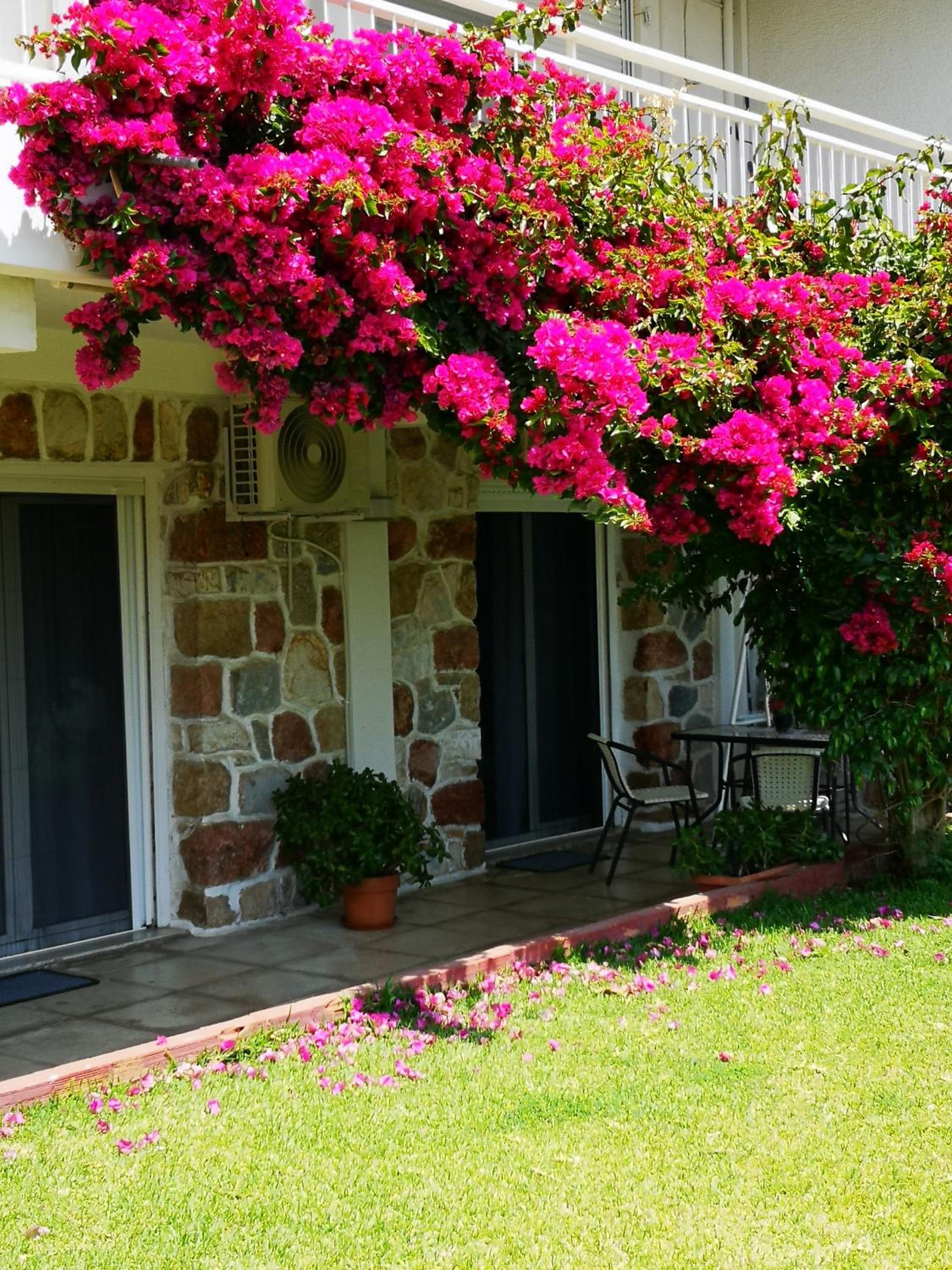 Hotel Sea&Sun Glyfada Apartment - Image 1