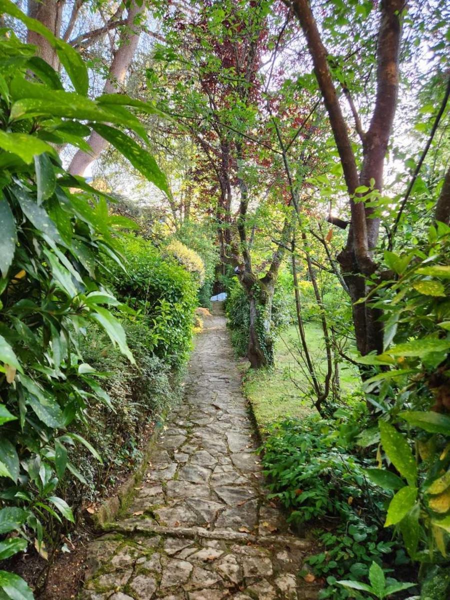 Le Jardin Sarlat view 3