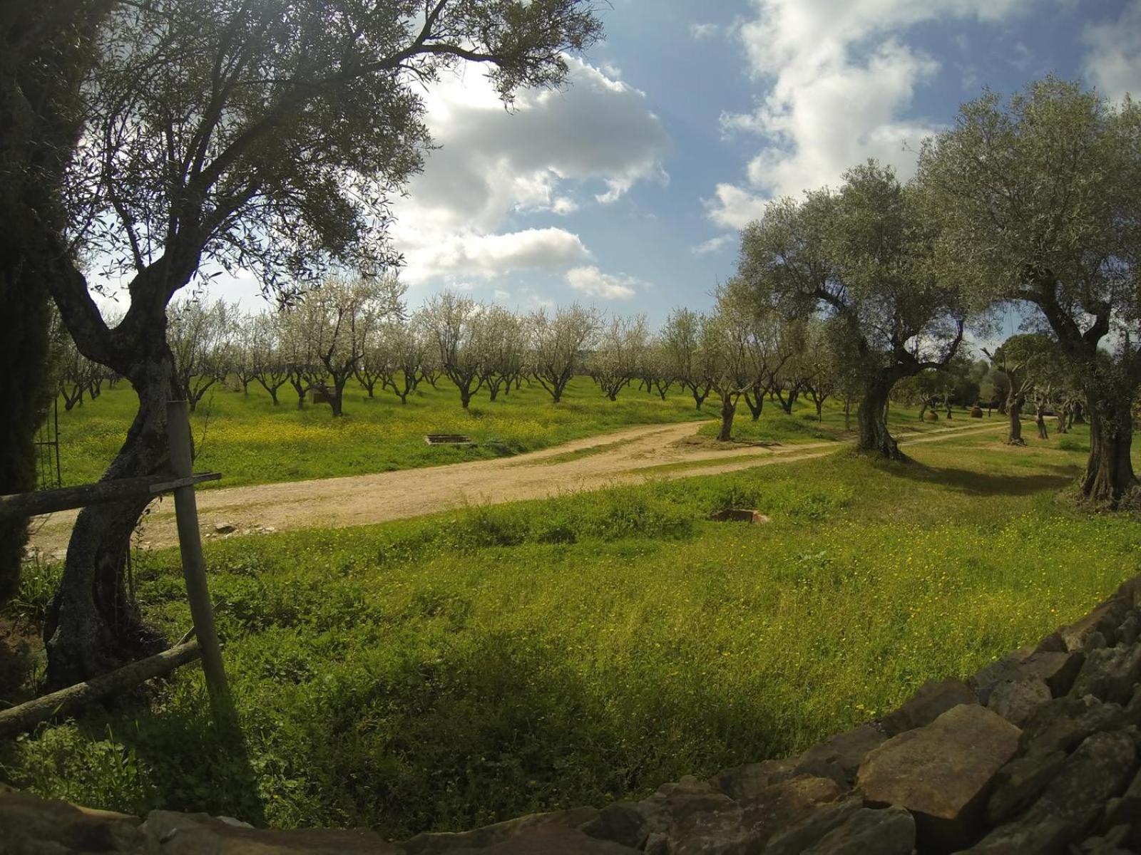 CASA RURAL La Moranta