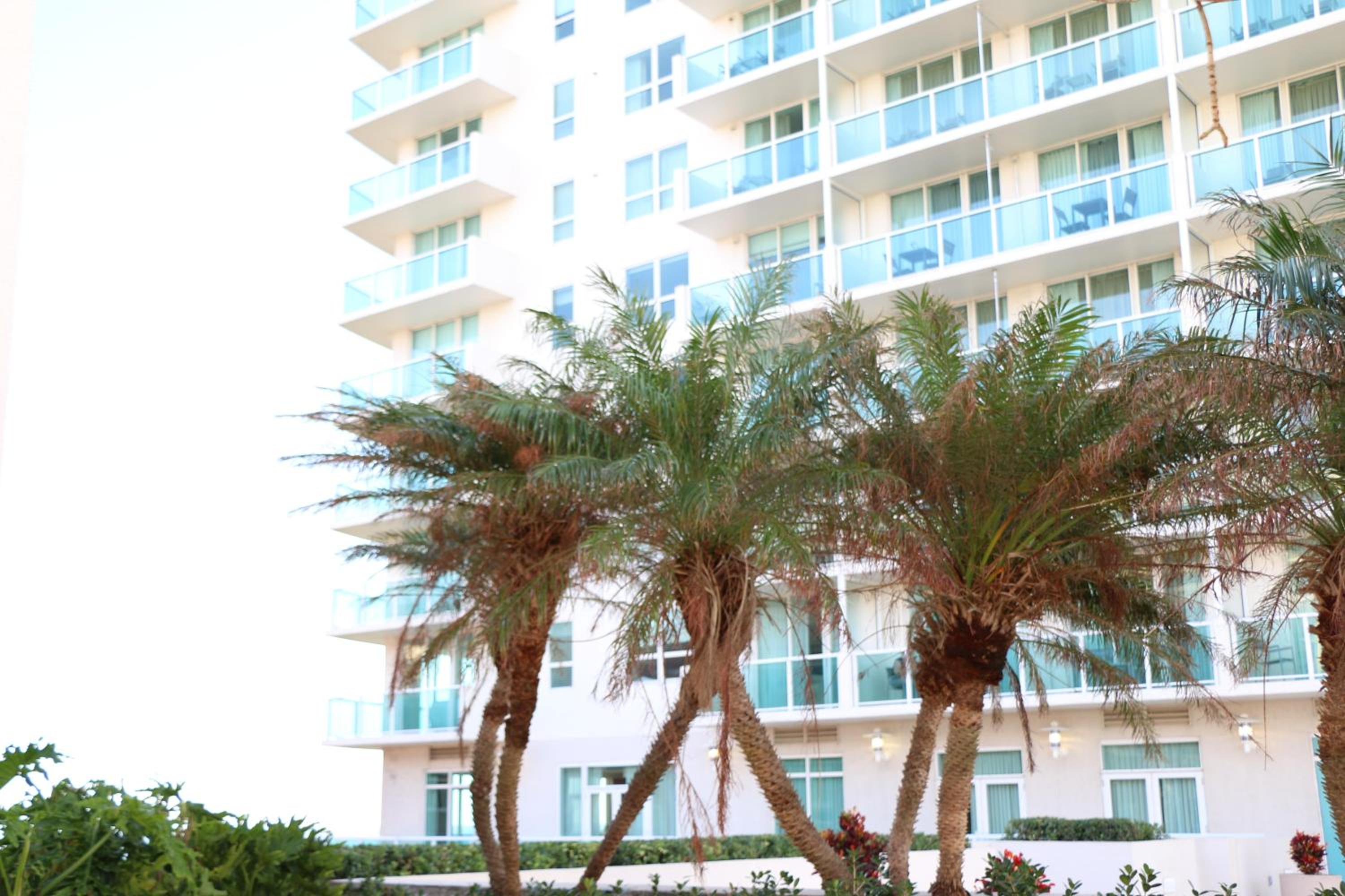Glamorous Bay View Studio In The Heart Of Grove — Miami