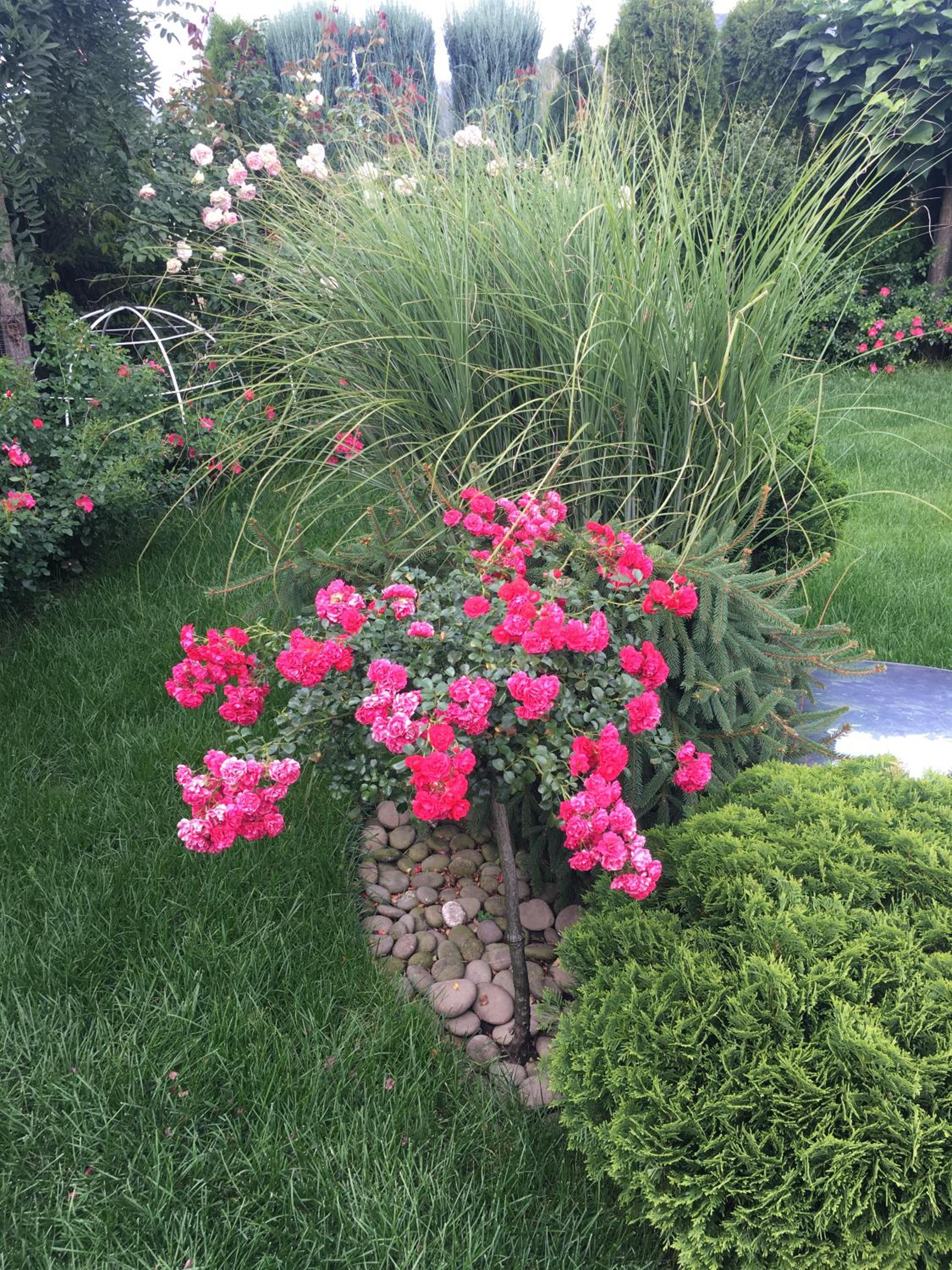 Photo 43