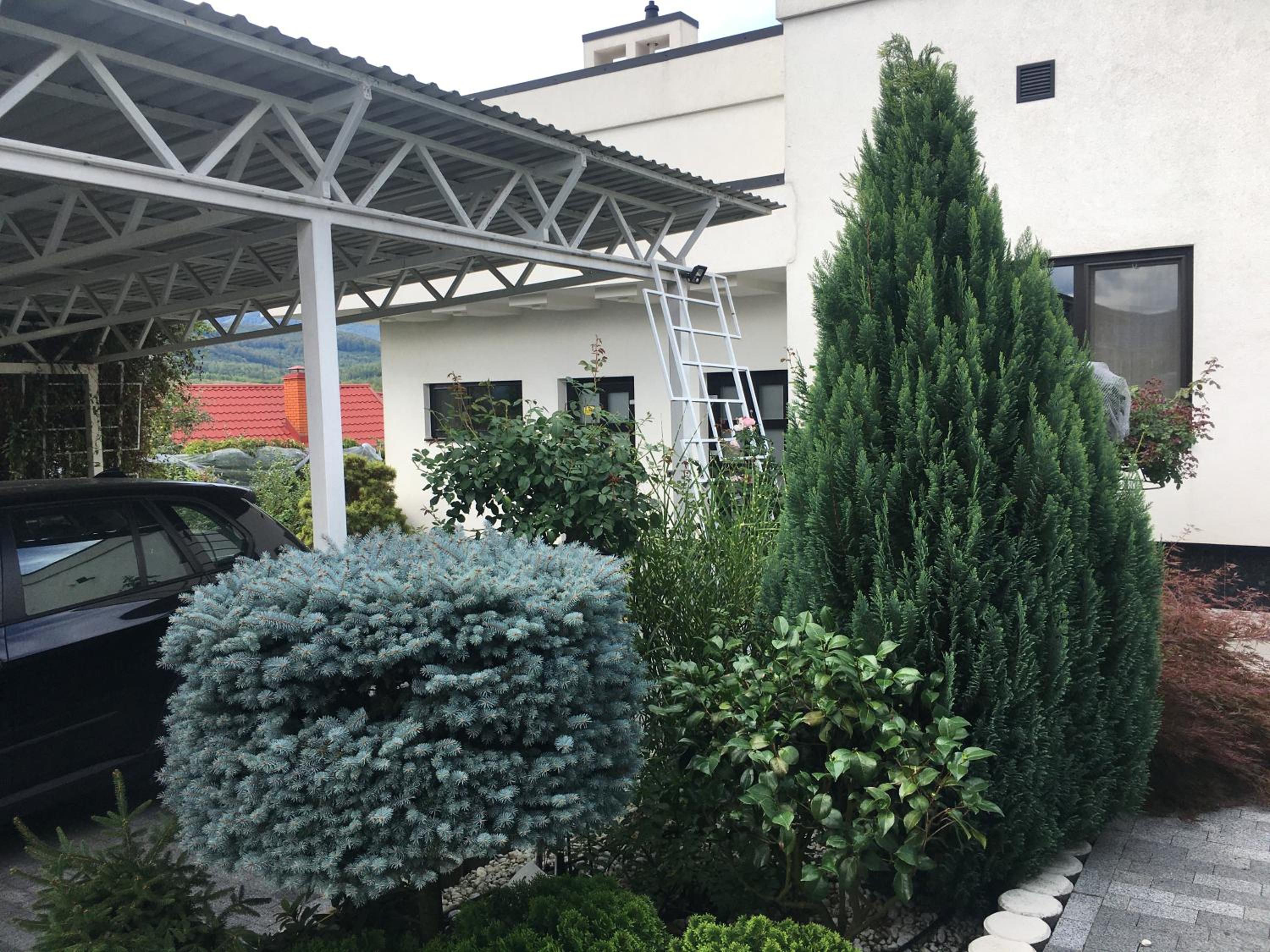 Photo 46