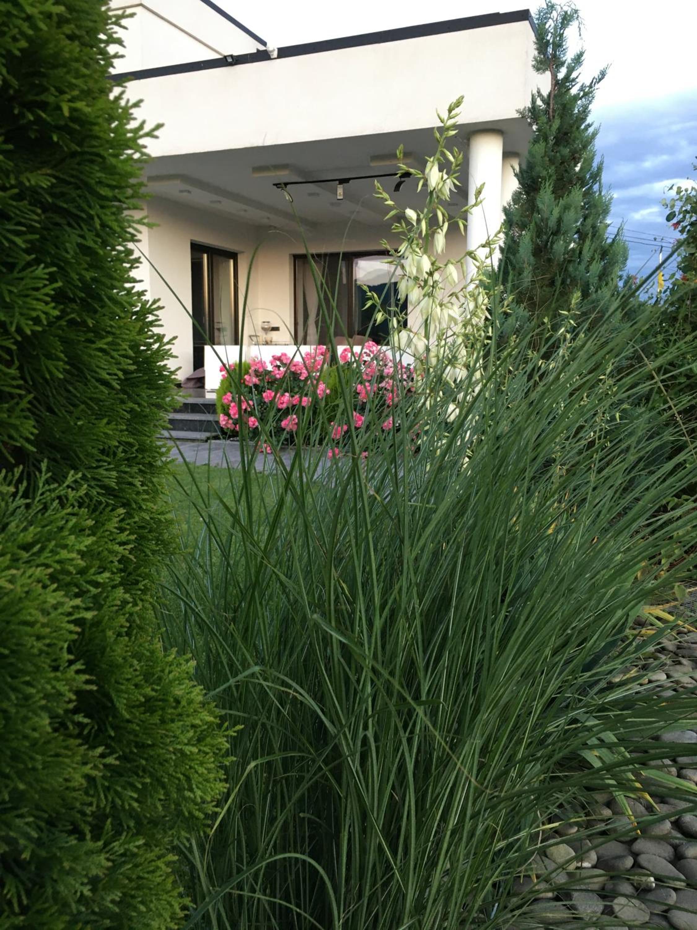 Photo 42