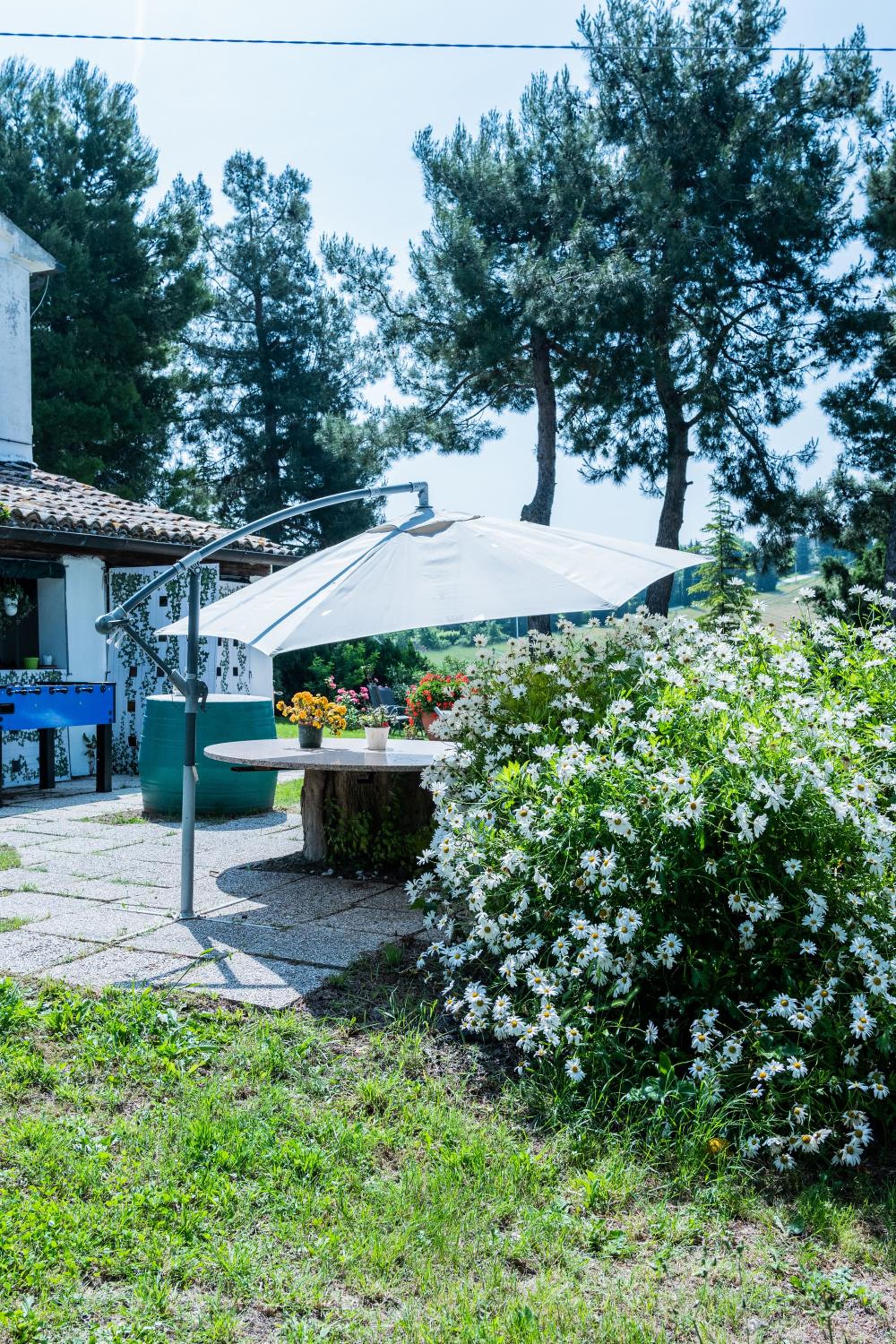 Casa Vacanze Cassero