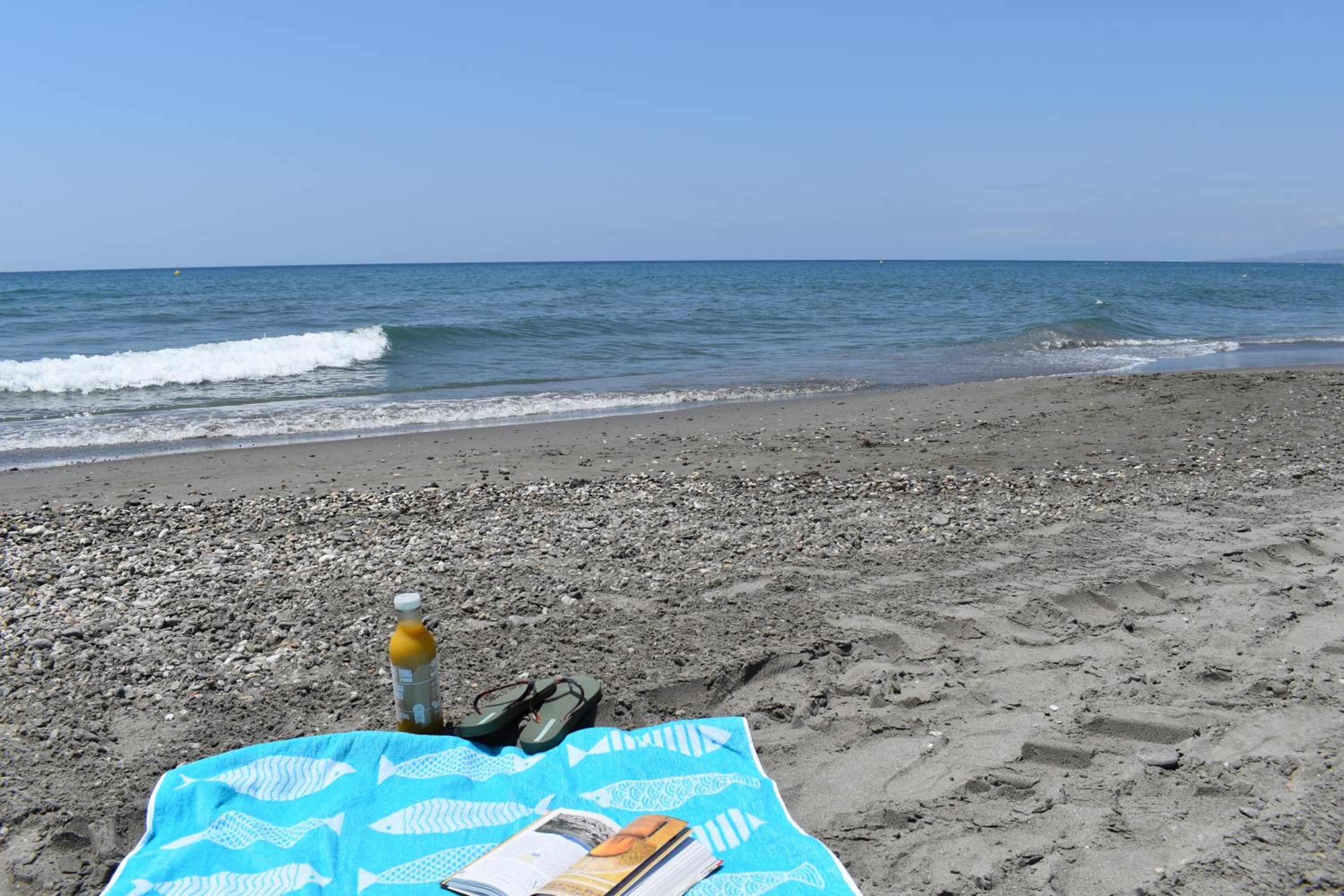 Fantastic studio - beachfront