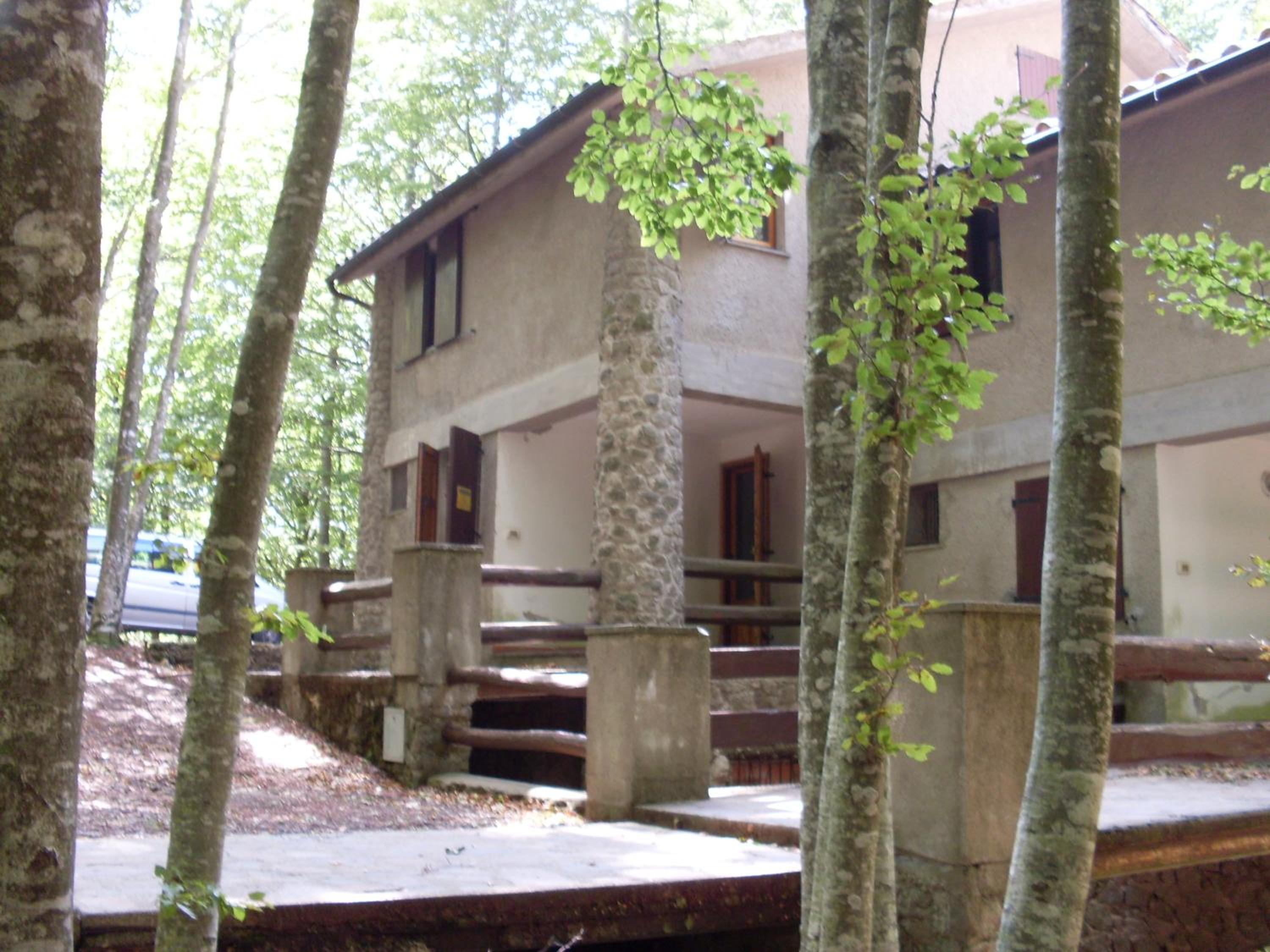 Casa nel bosco alle Macinaie view 5