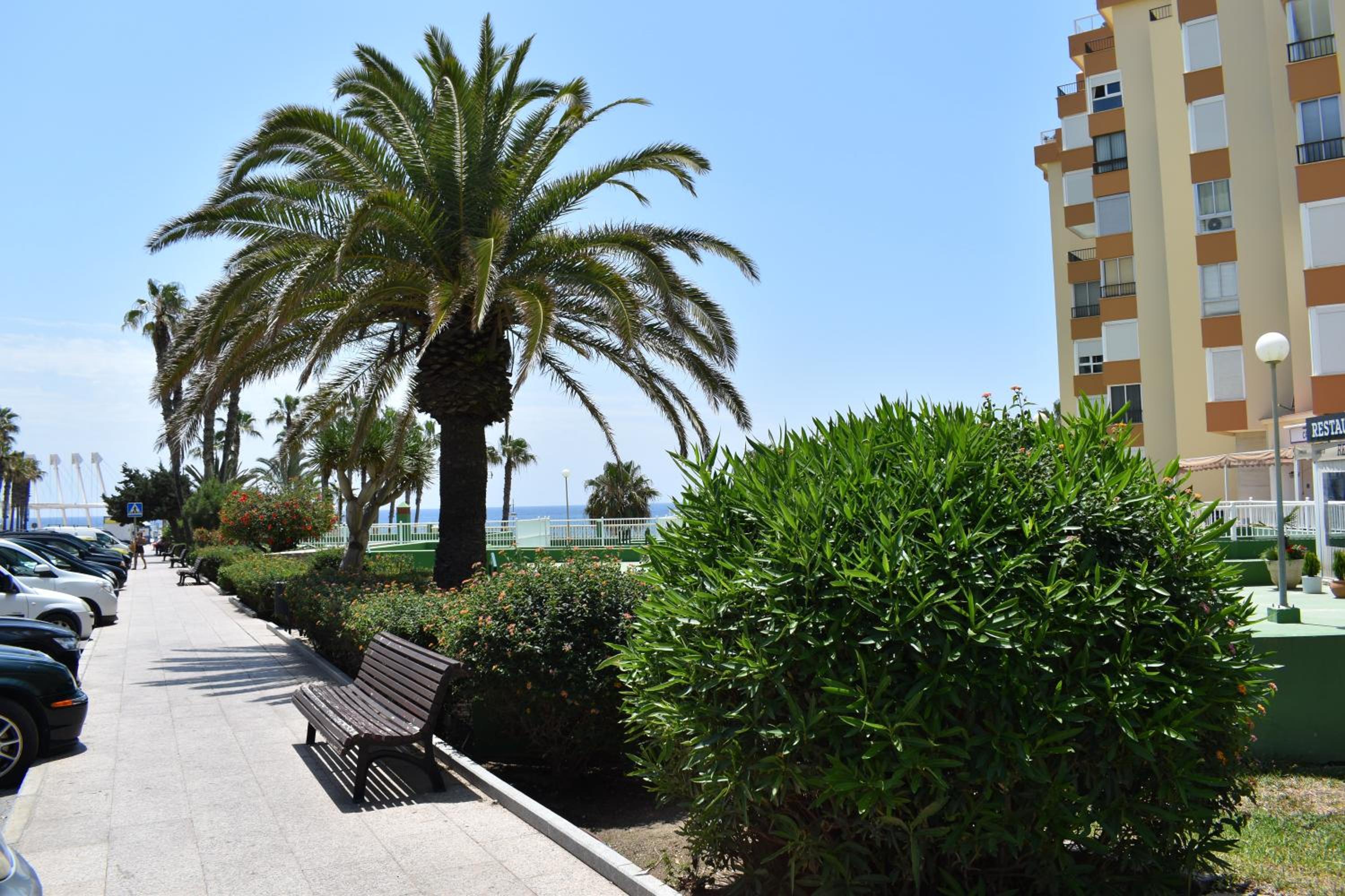 Fantastic studio - beachfront