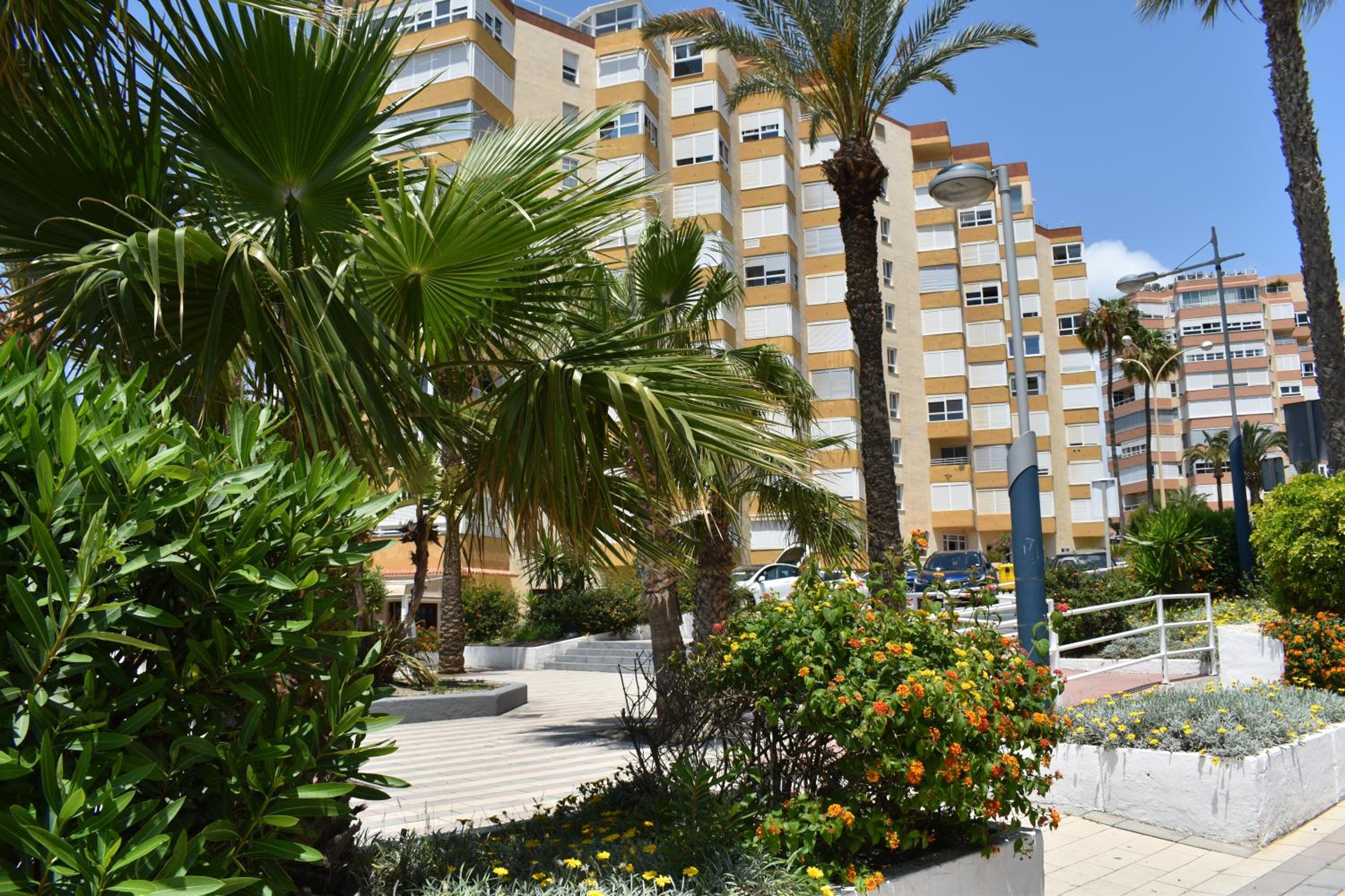 Fantastic studio - beachfront