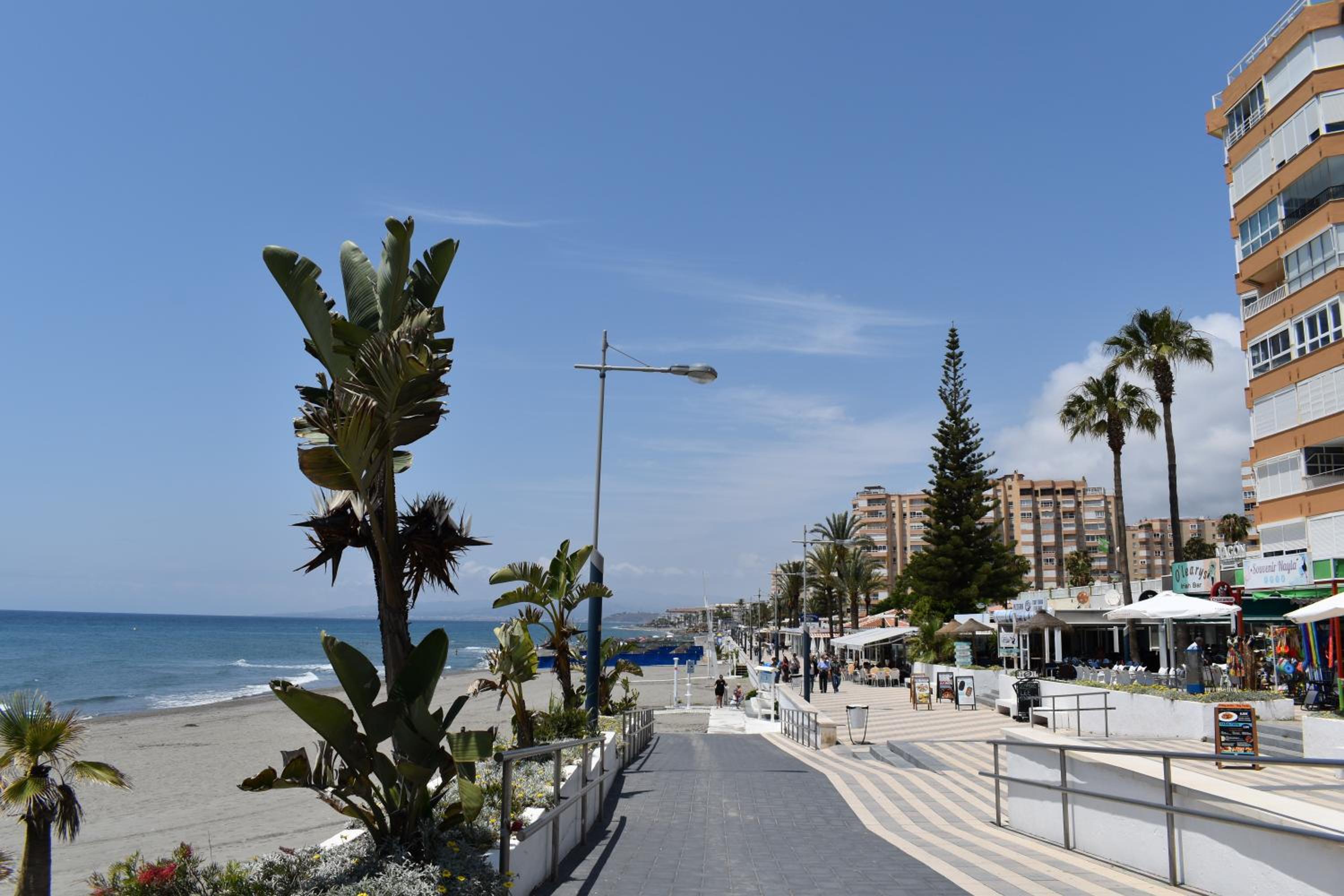 Fantastic studio - beachfront