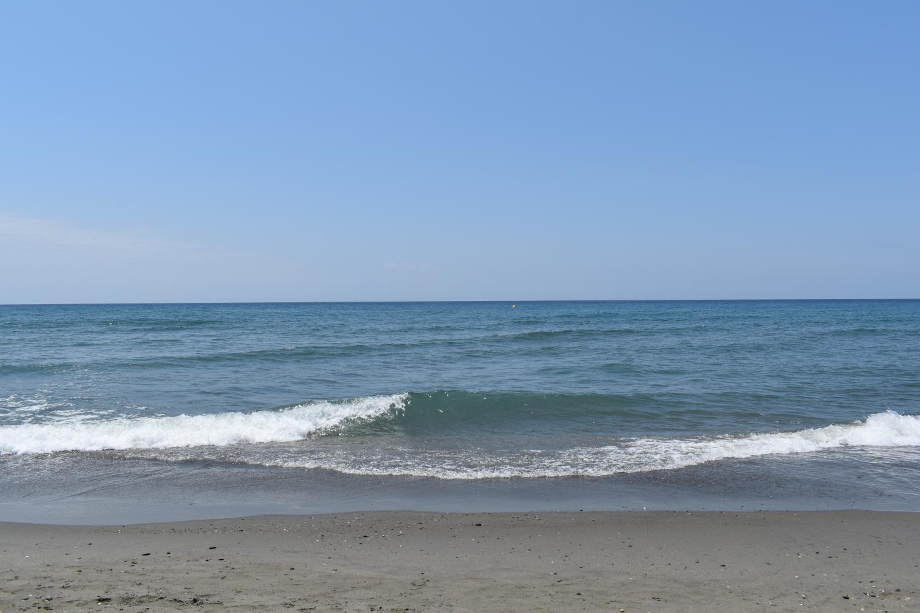 Fantastic studio - beachfront