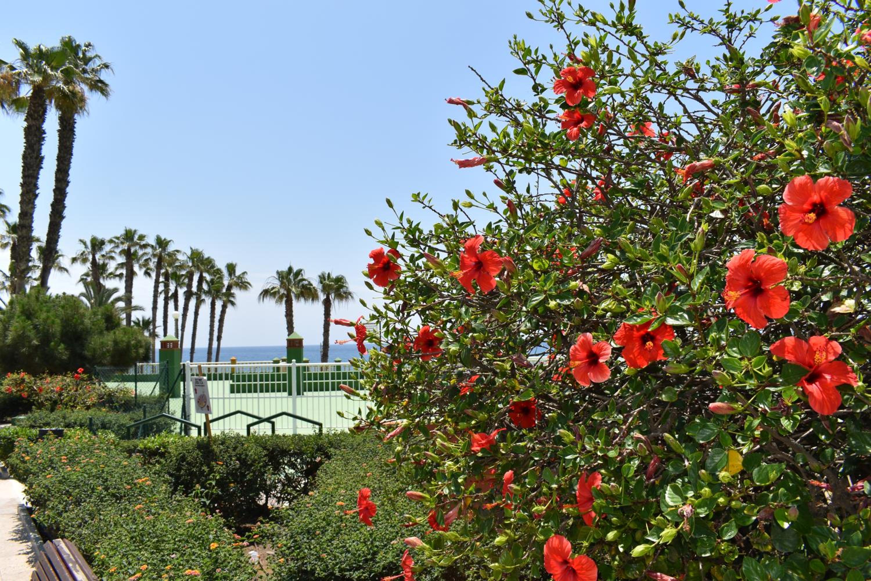 Fantastic studio - beachfront