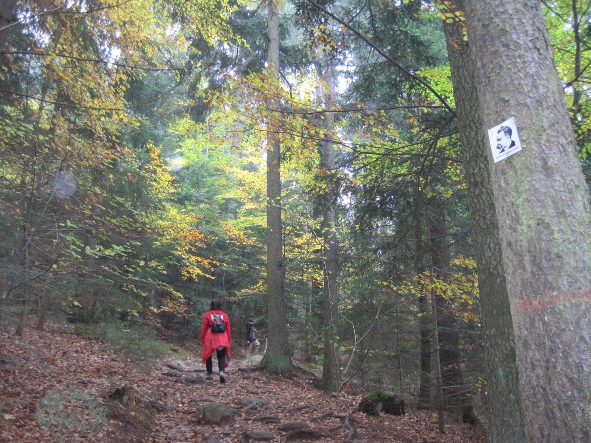 Gschwandnerhof